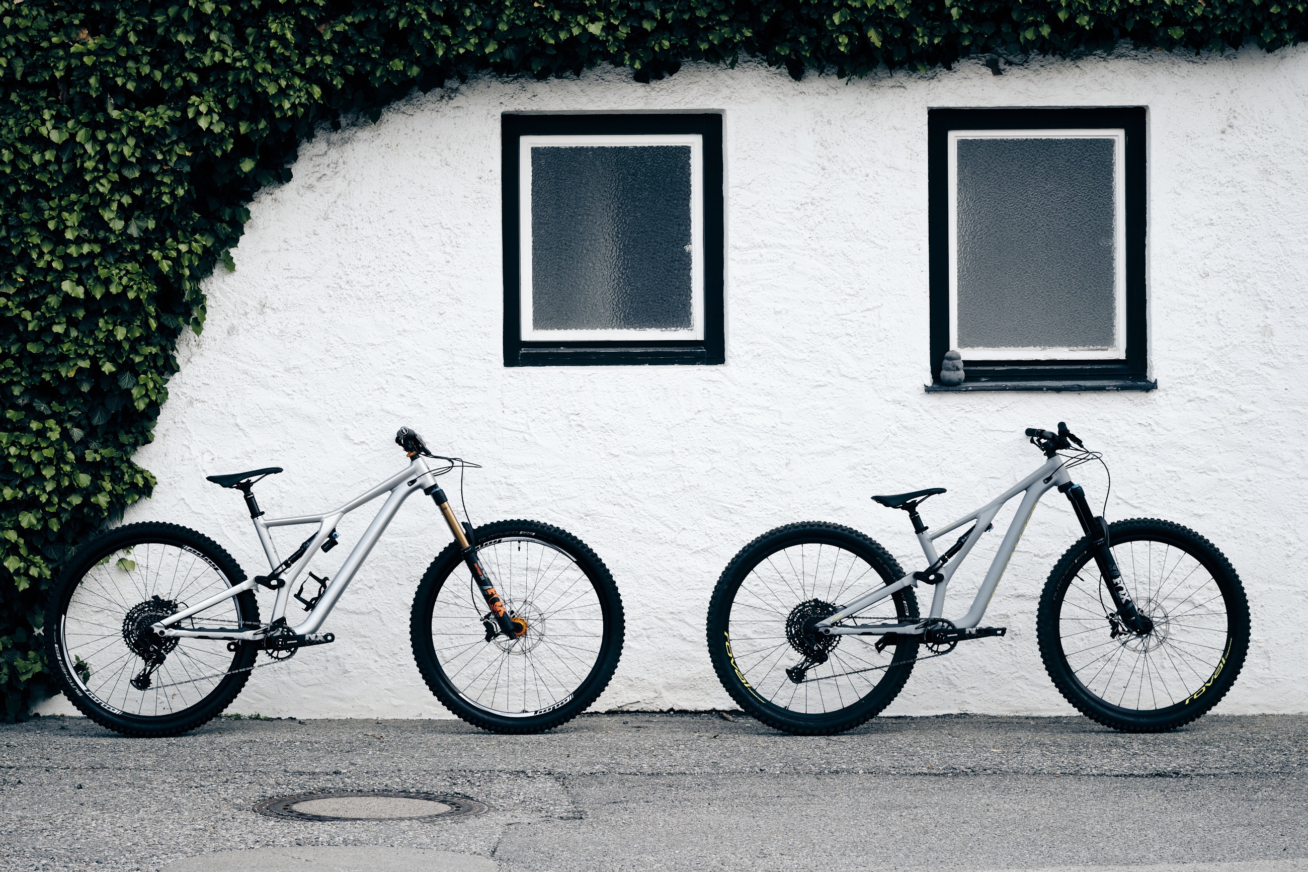 Specialized Enduros