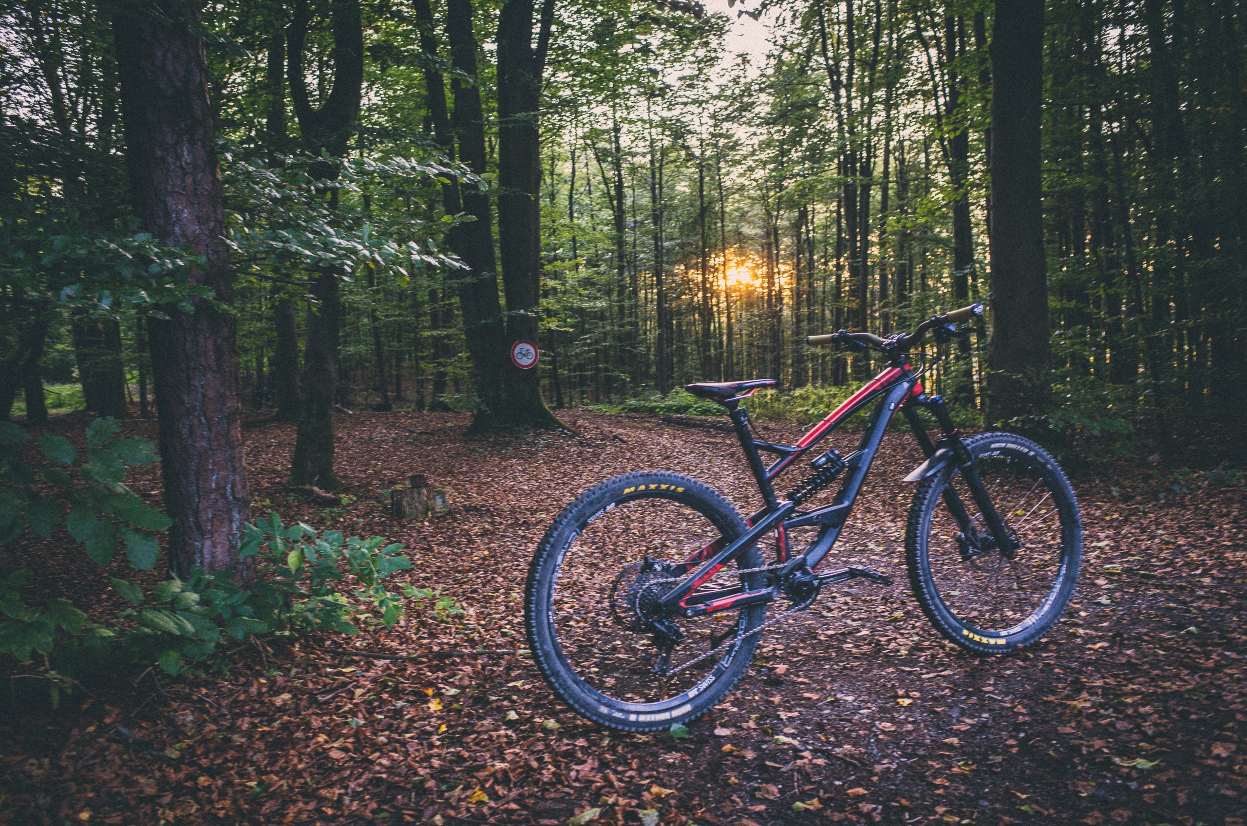 Fox DHX2 YT Capra