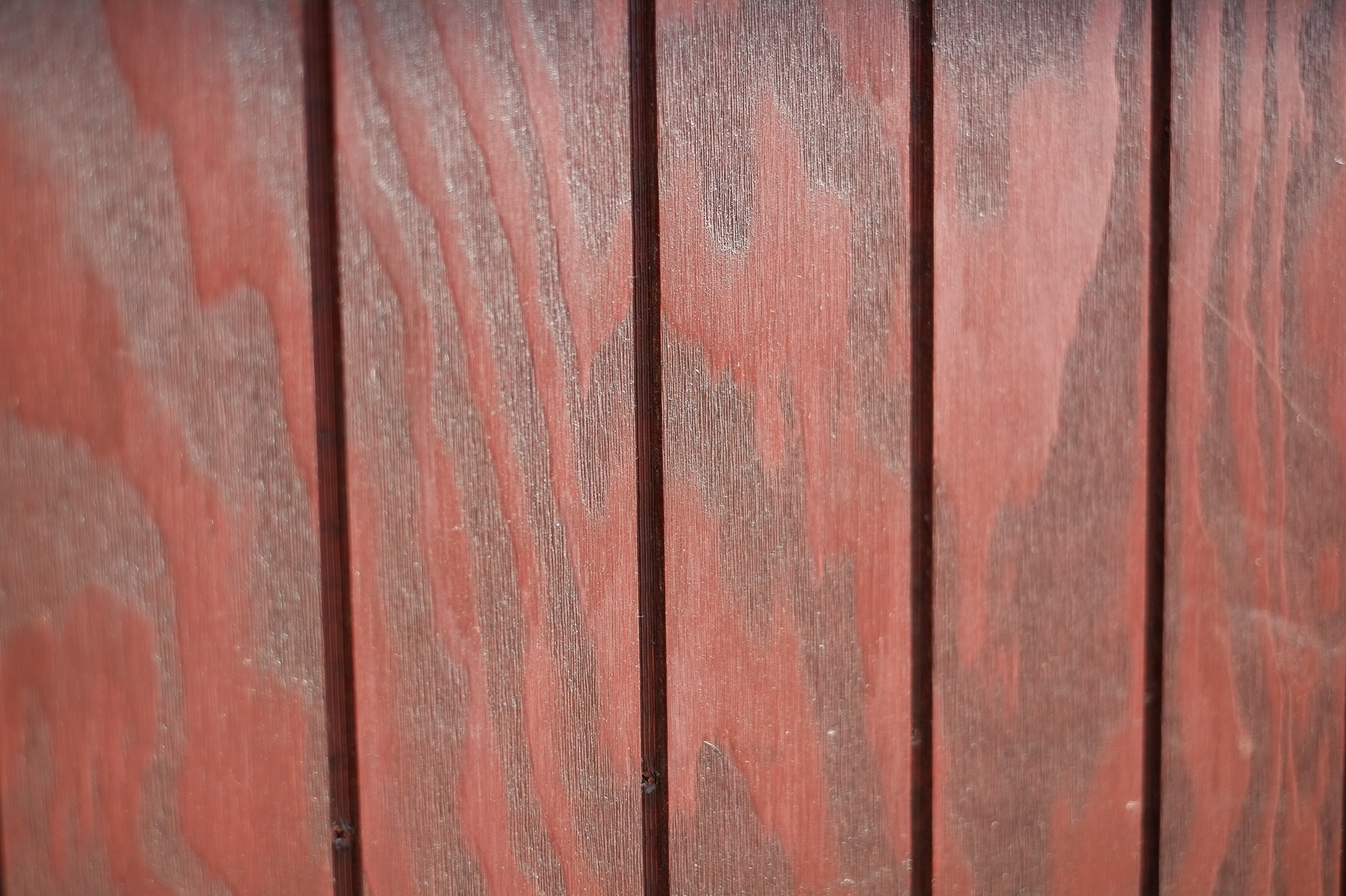 Fuji X Pro1 Samples 02
