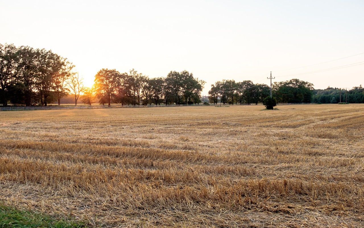 Fuji 02 1280x800