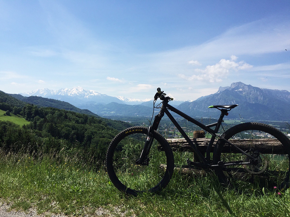 View