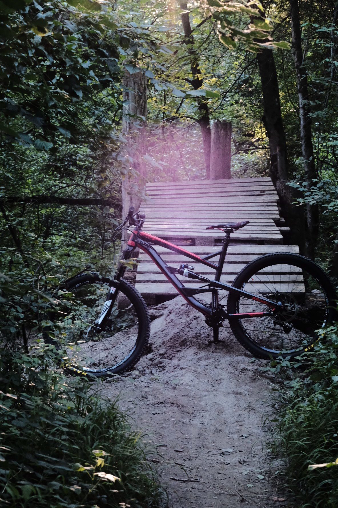 Yt capra al comp 1 016
