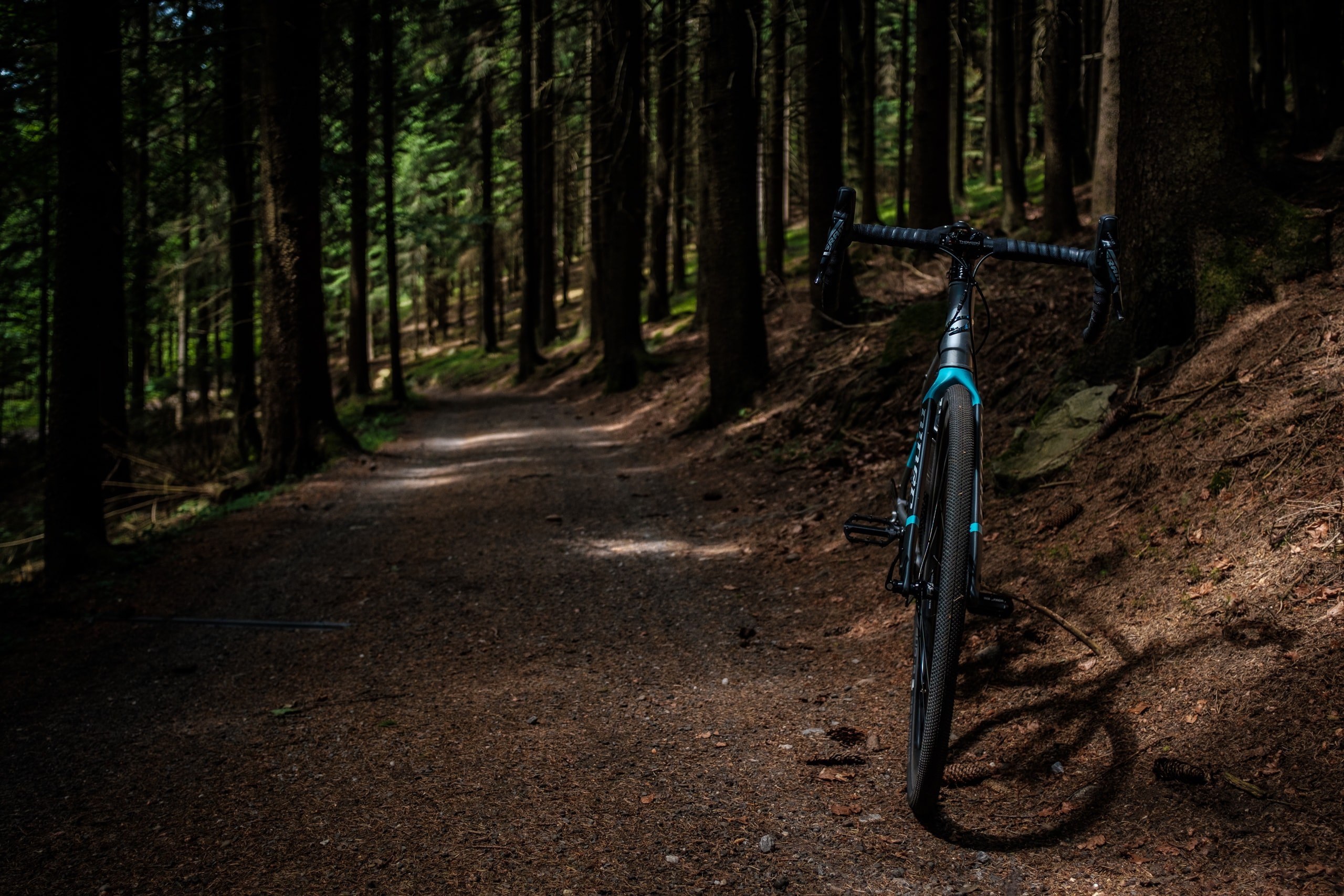 Niner RLT 9 Steel 00003