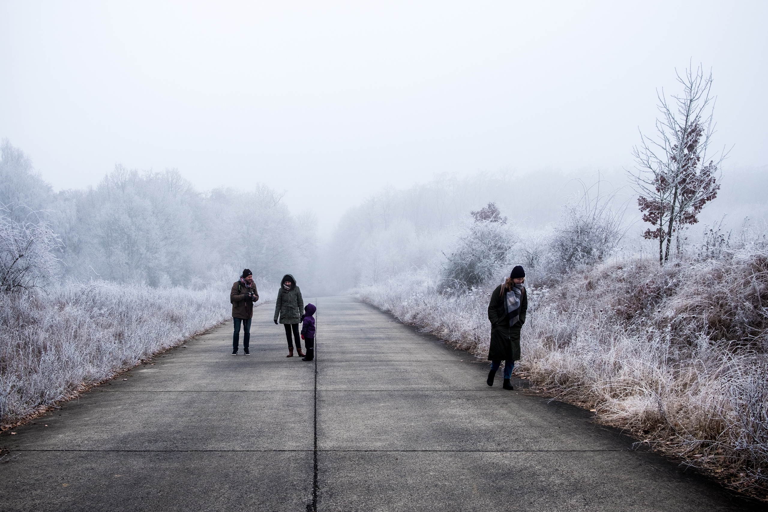 20161231 X Pro2 XF23mm F2 R WR 20161231 X Pro2 XF23mm F2 R WR DSCF2116 12523 00005