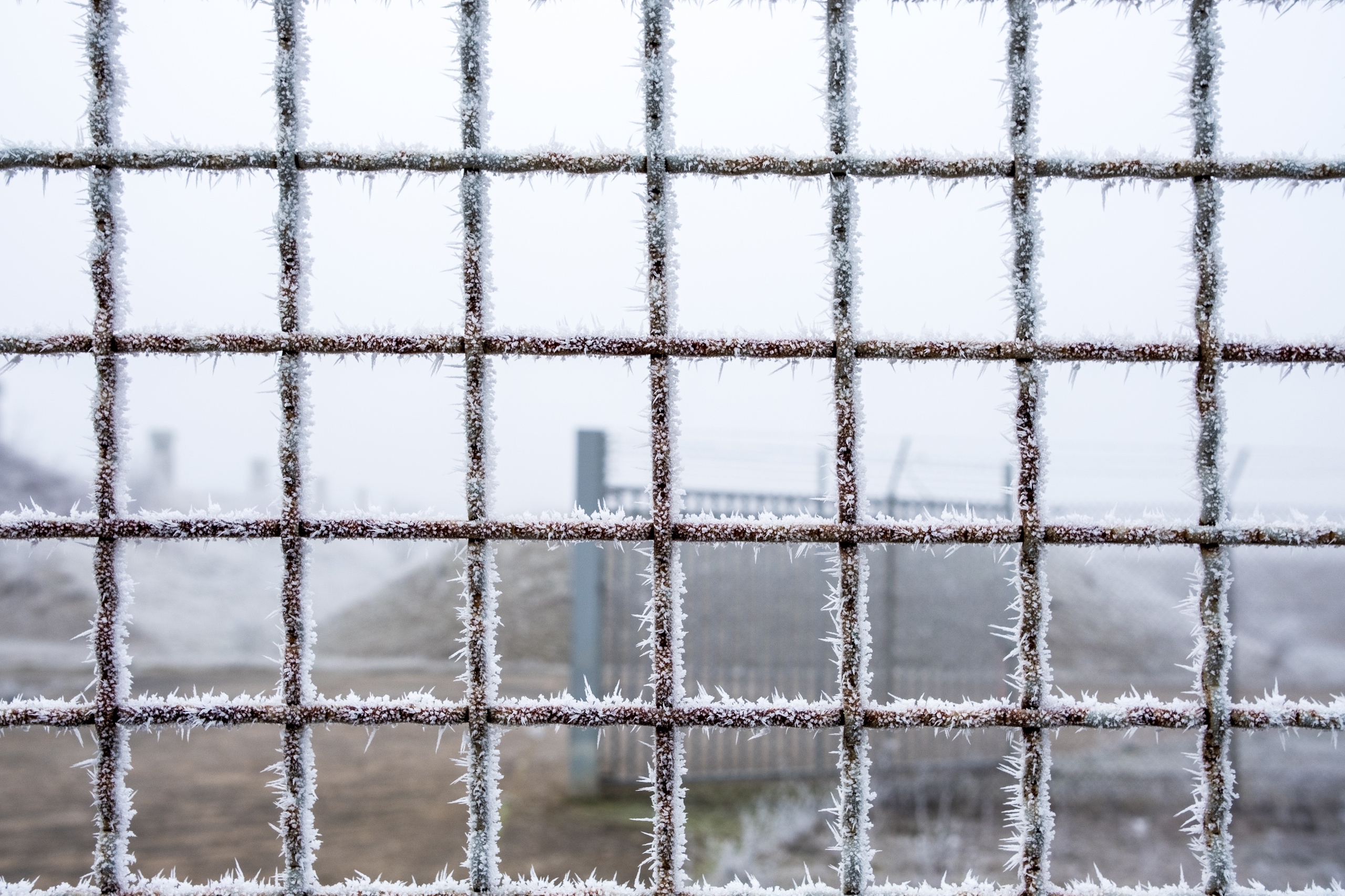 20161231 X Pro2 XF23mm F2 R WR 20161231 X Pro2 XF23mm F2 R WR DSCF2121 12533 00009