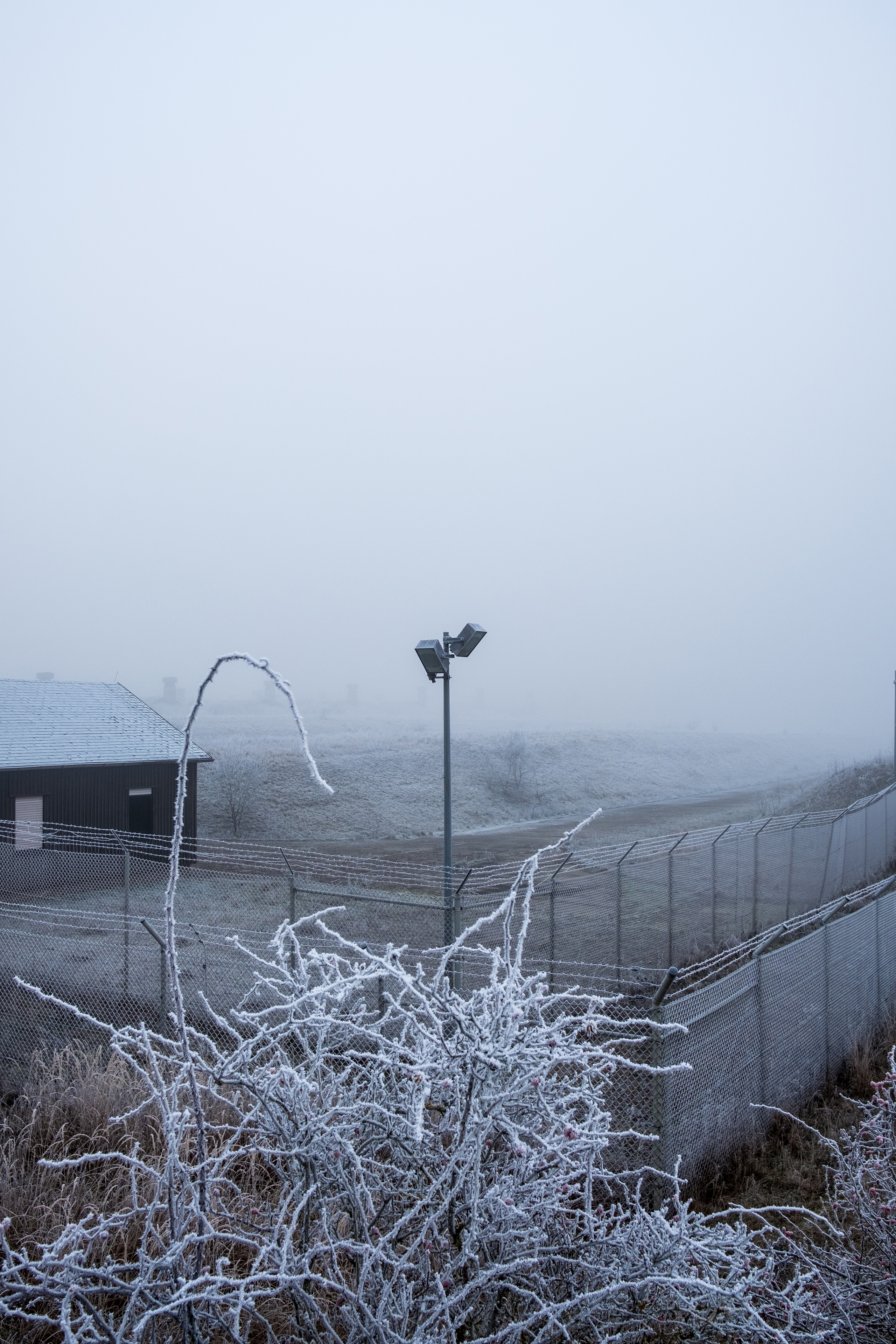 20161231 X Pro2 XF23mm F2 R WR 20161231 X Pro2 XF23mm F2 R WR DSCF2130 12550 00017