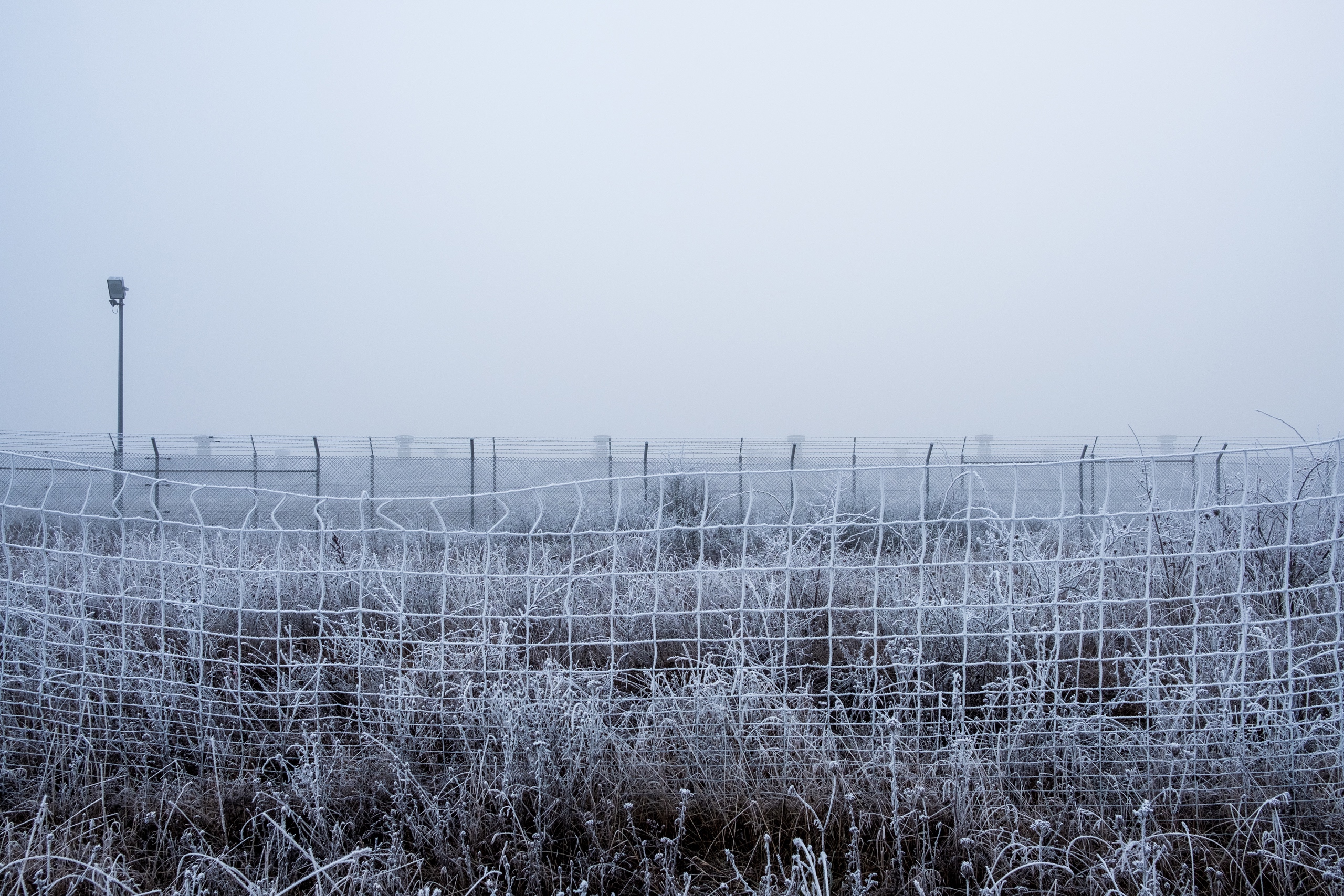 20161231 X Pro2 XF23mm F2 R WR 20161231 X Pro2 XF23mm F2 R WR DSCF2133 12557 00021