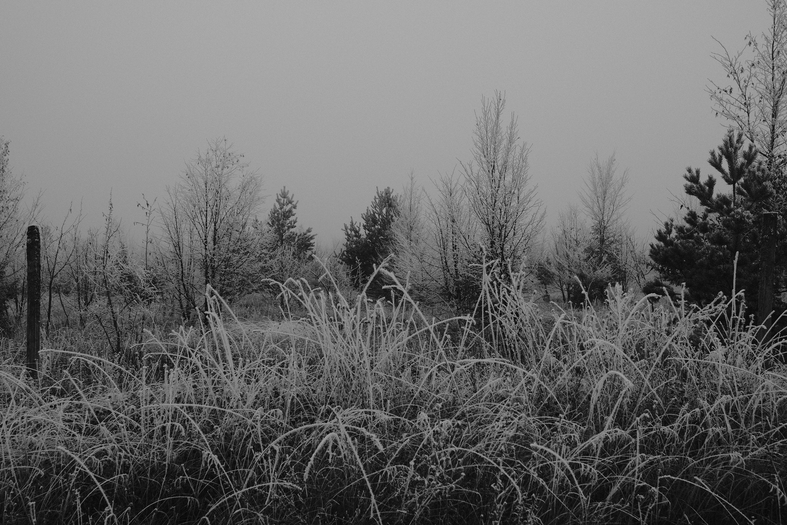 20161231 X Pro2 XF23mm F2 R WR 20161231 X Pro2 XF23mm F2 R WR DSCF2135 12560 00023
