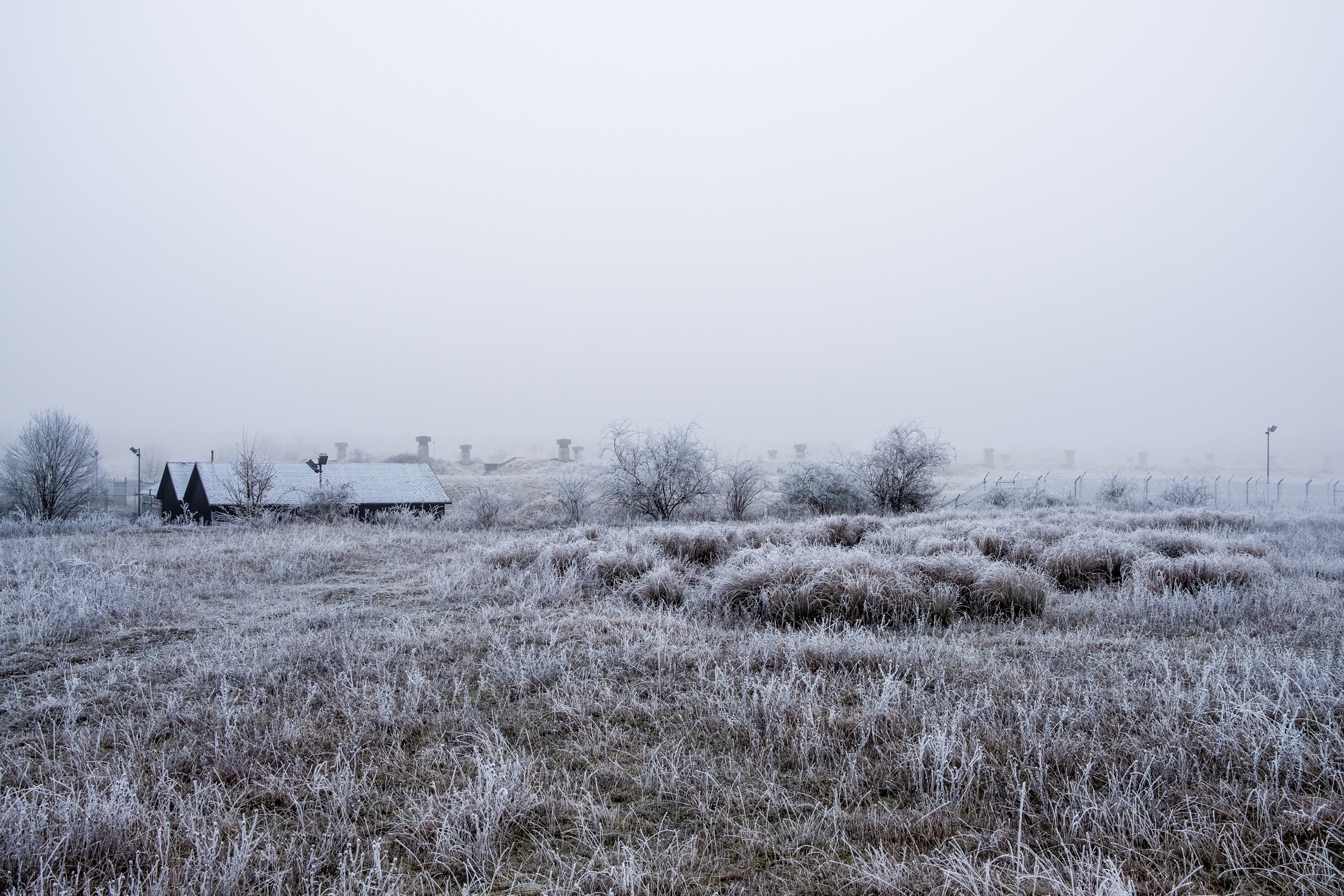 20161231 X Pro2 XF23mm F2 R WR 20161231 X Pro2 XF23mm F2 R WR DSCF2166 12622 00055