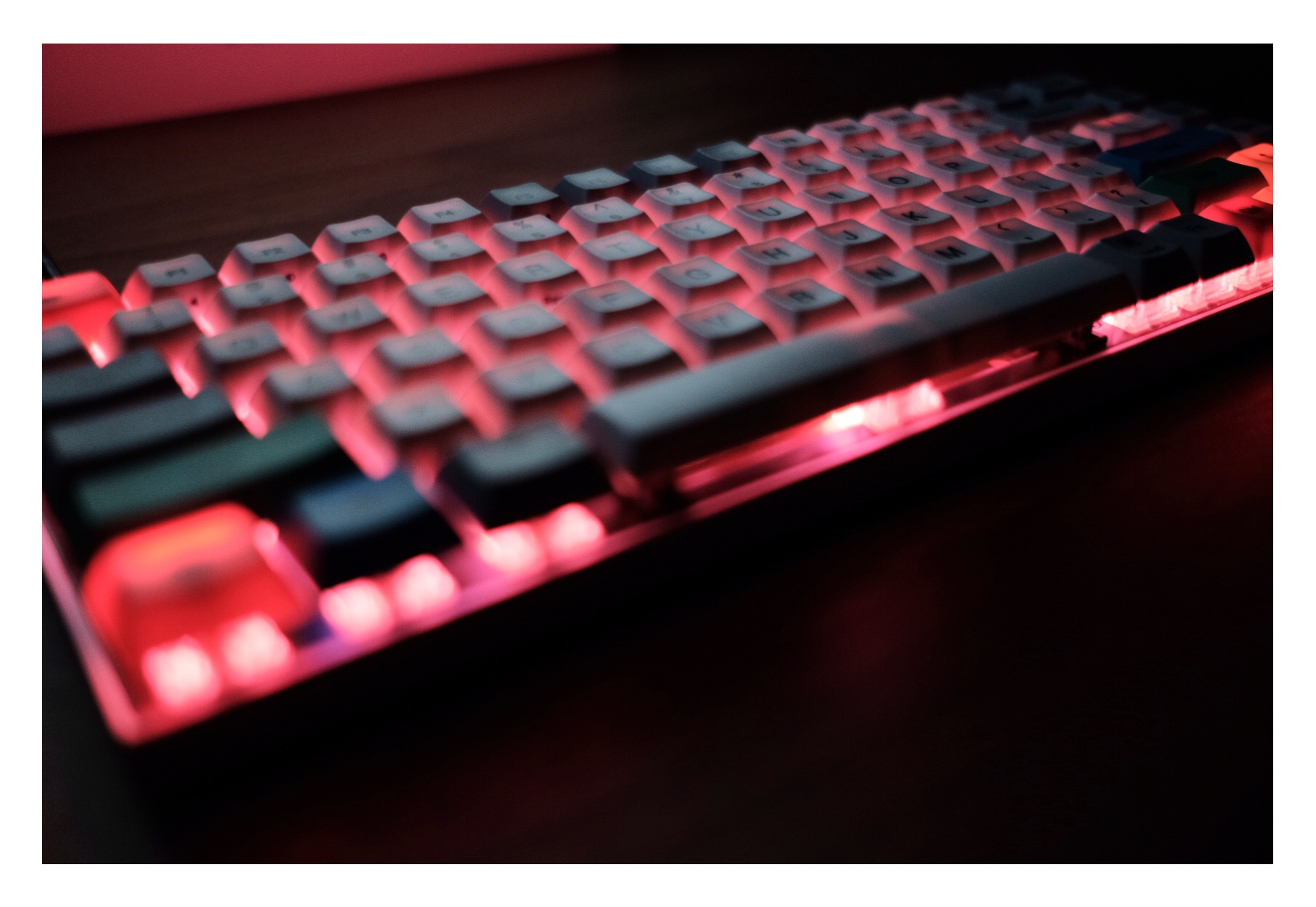 Vortex new 75 race 3 03