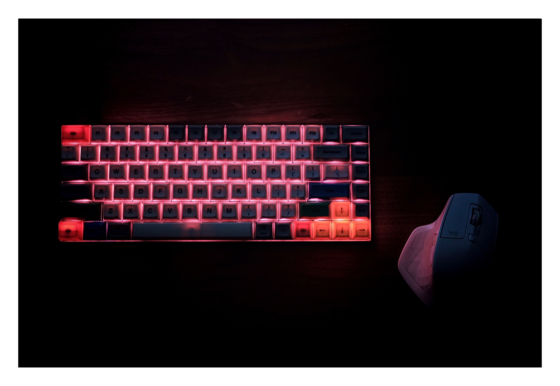 Vortex new 75 race 3 02