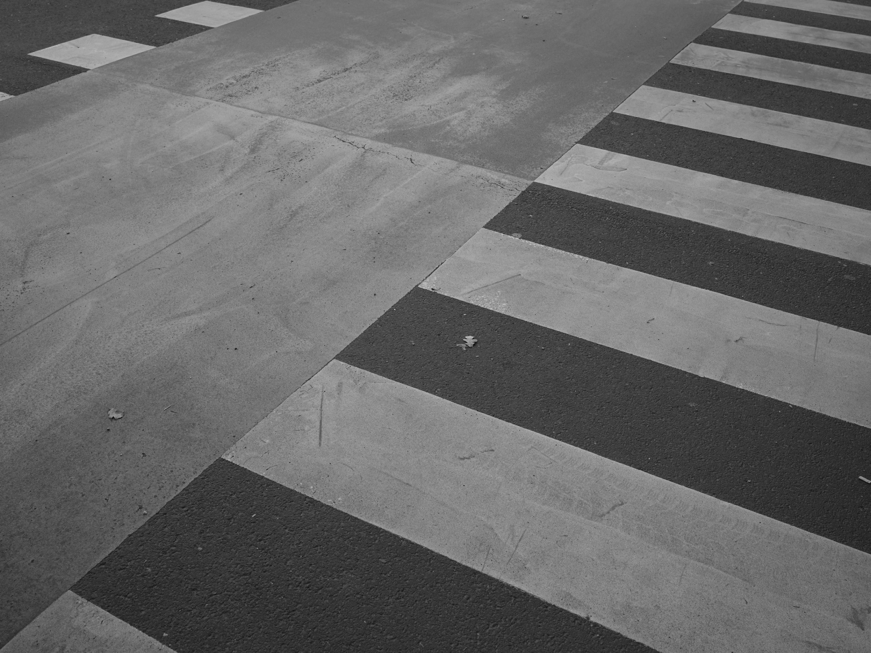 FUJIFILM GFX100 RF DSCF0935