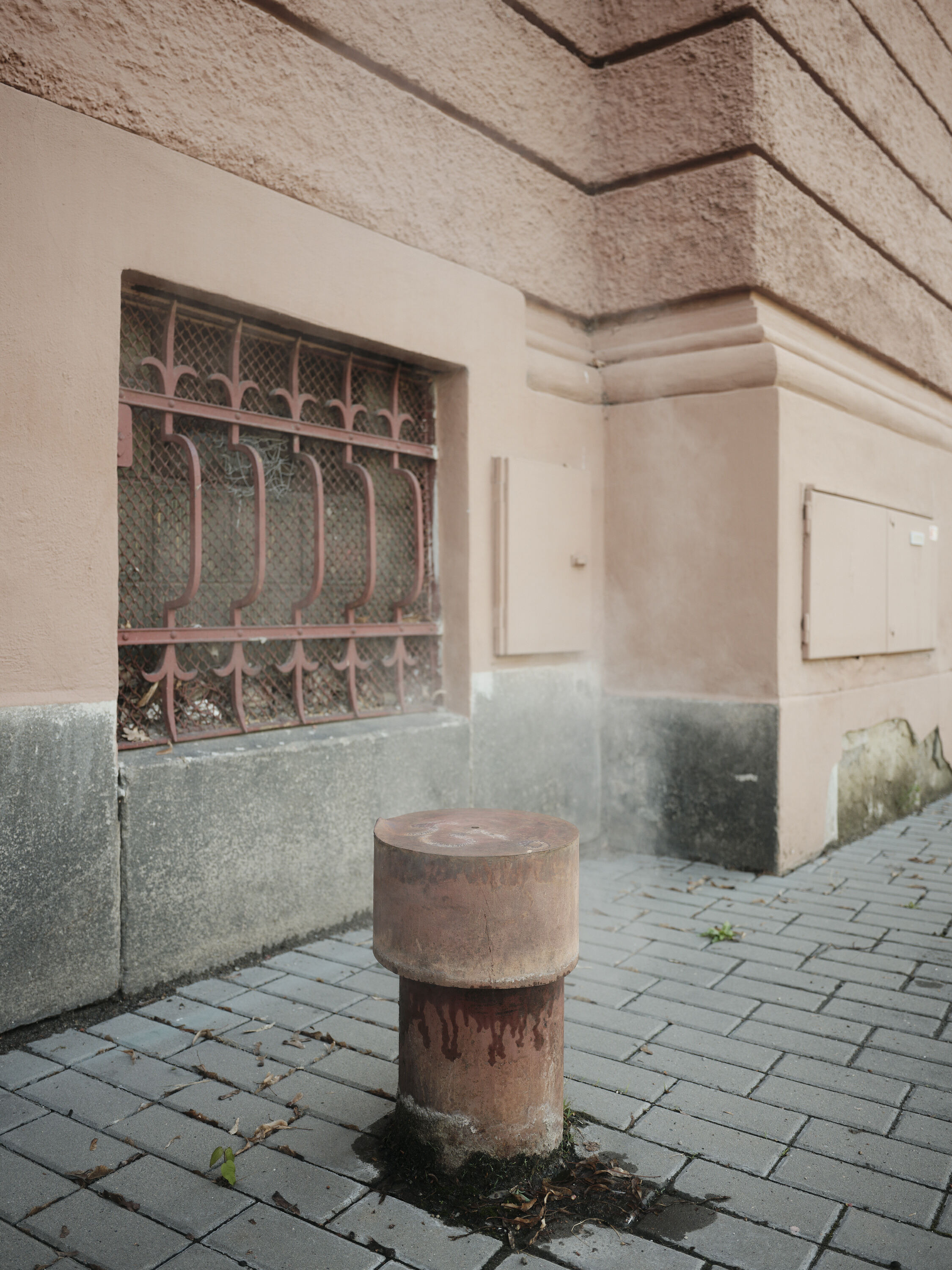 FUJIFILM GFX100 RF DSCF1159