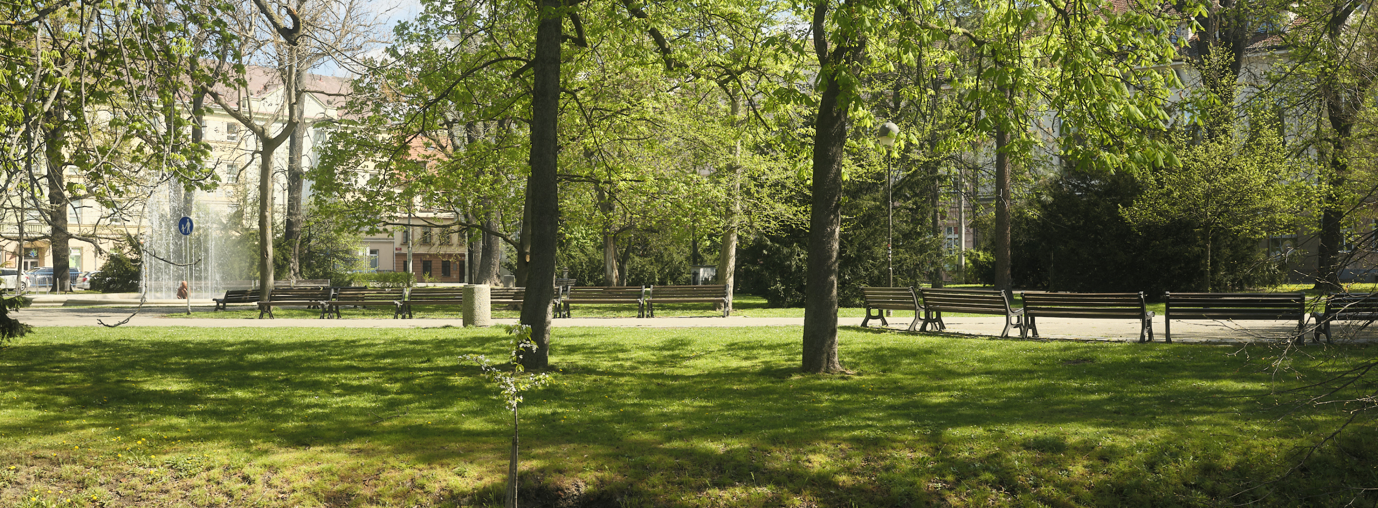 FUJIFILM GFX100 RF DSCF1192