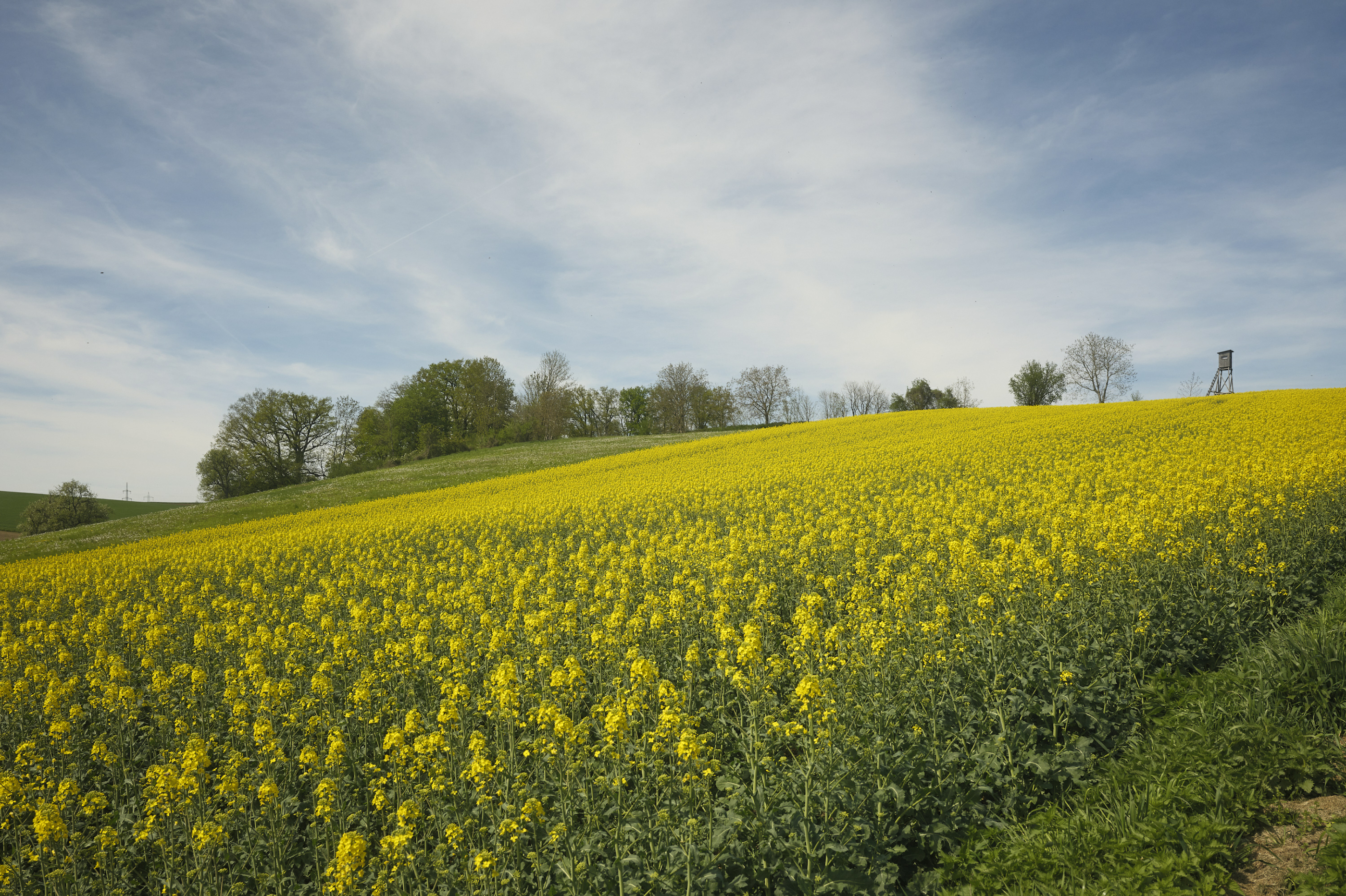 FUJIFILM GFX100 RF DSCF1244