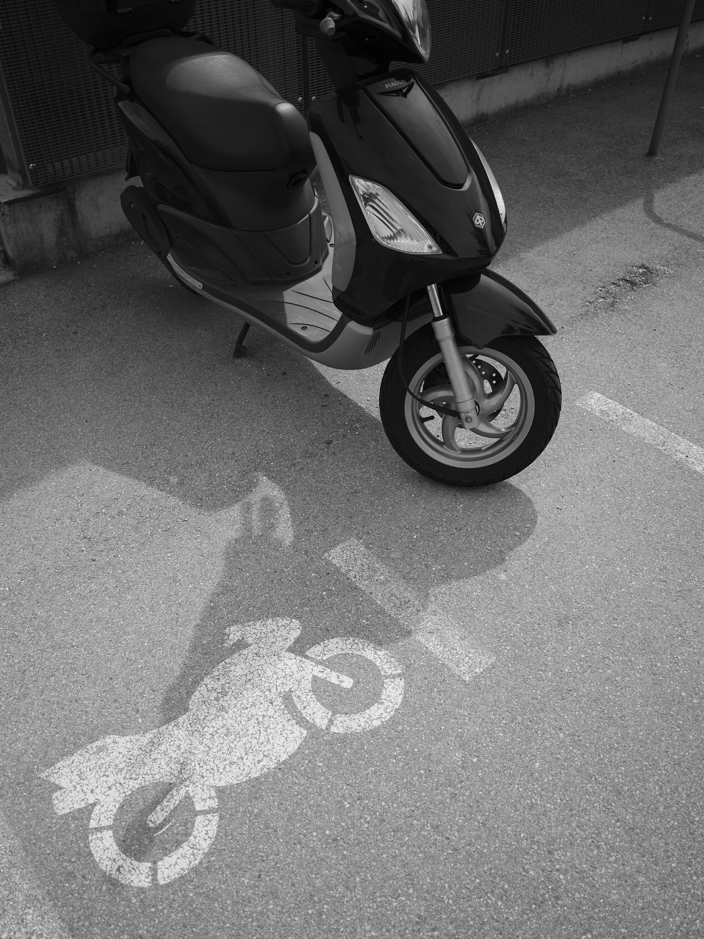 FUJIFILM GFX100 RF DSCF1246