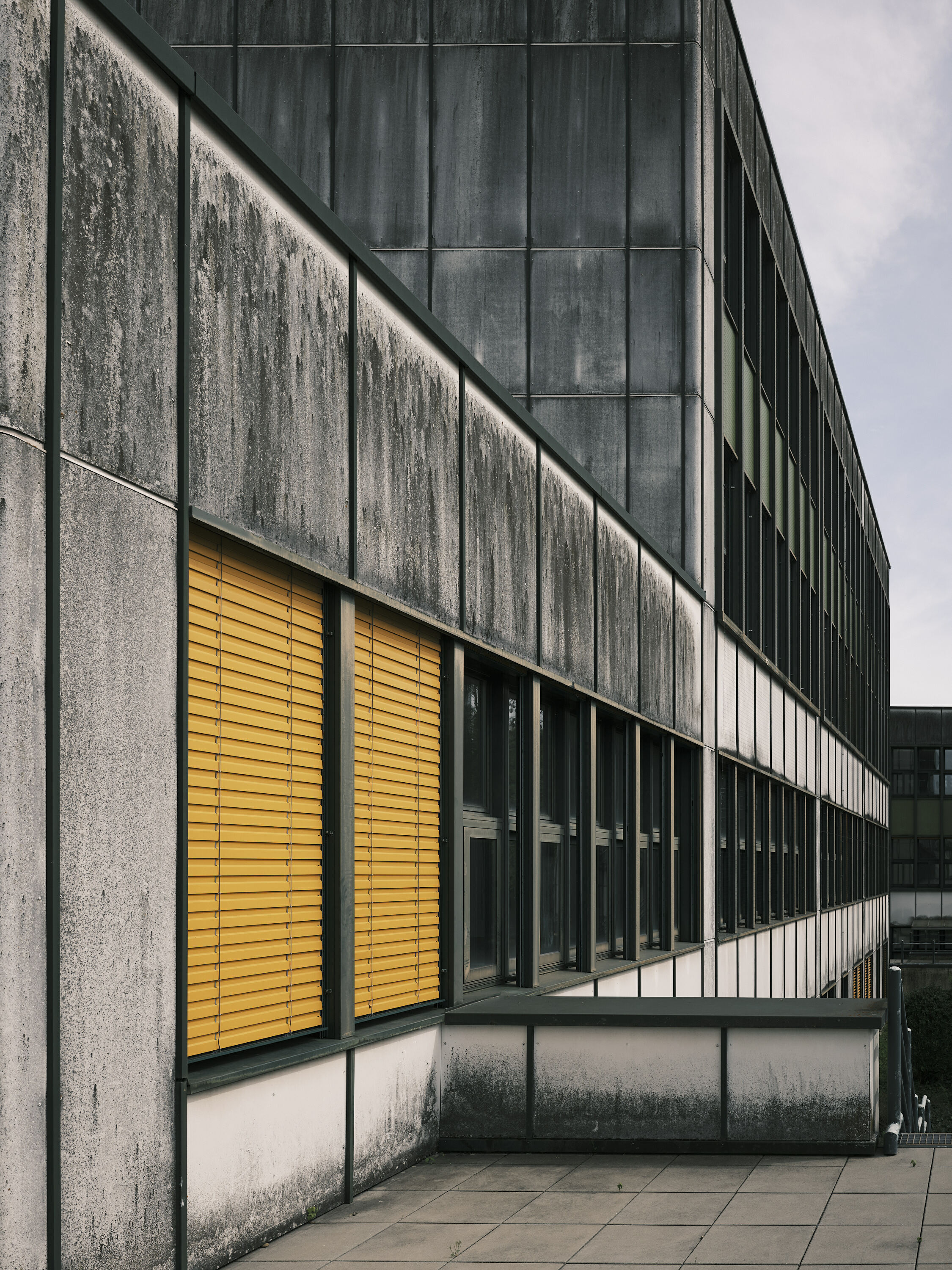 FUJIFILM GFX100 RF DSCF1275