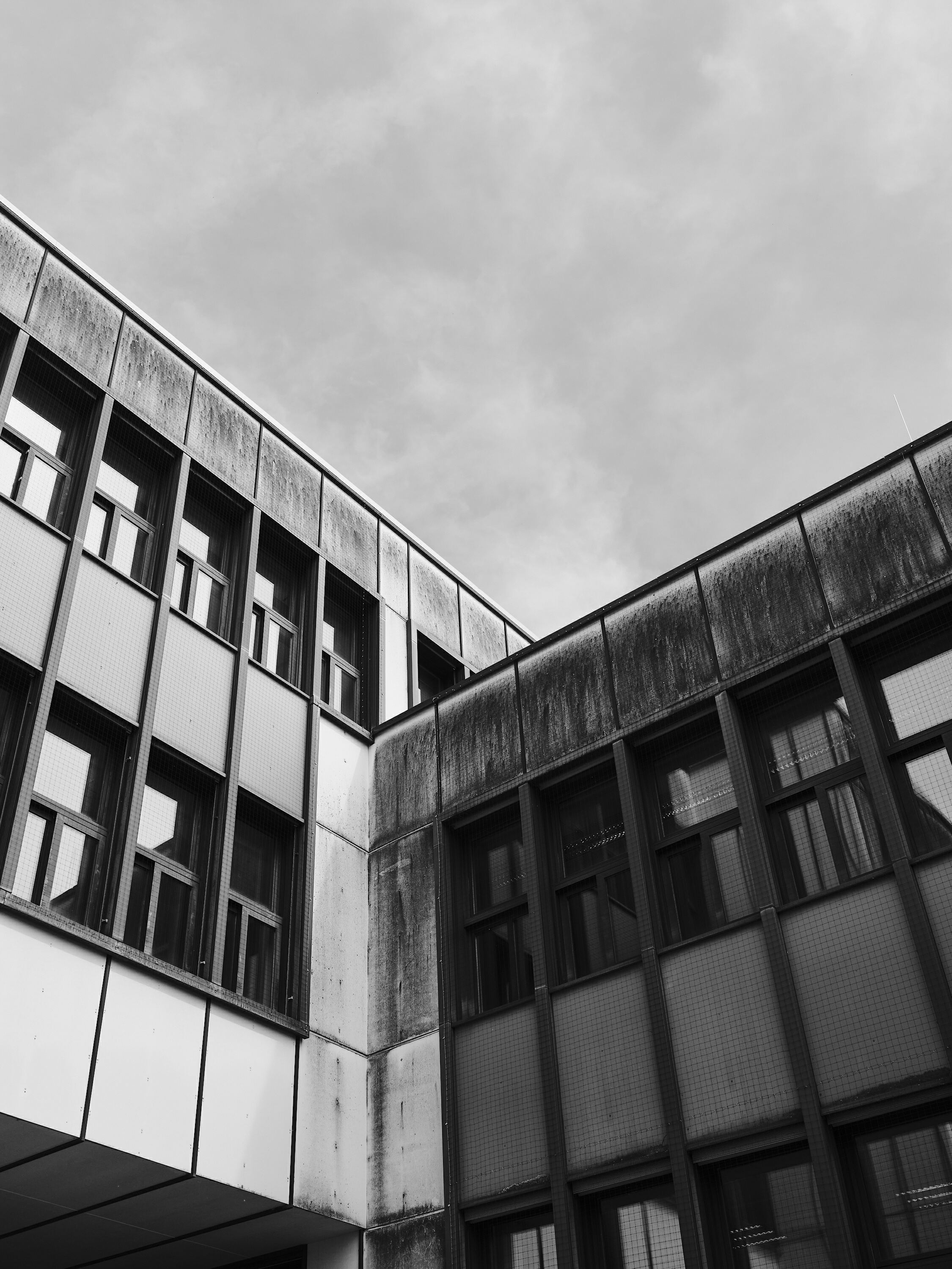 FUJIFILM GFX100 RF DSCF1284