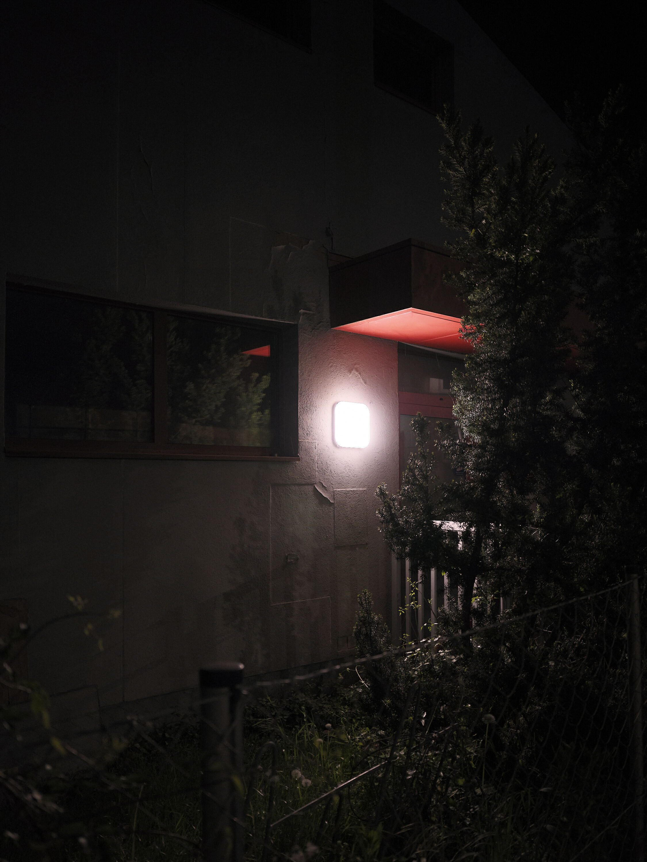 FUJIFILM GFX100 RF DSCF1427