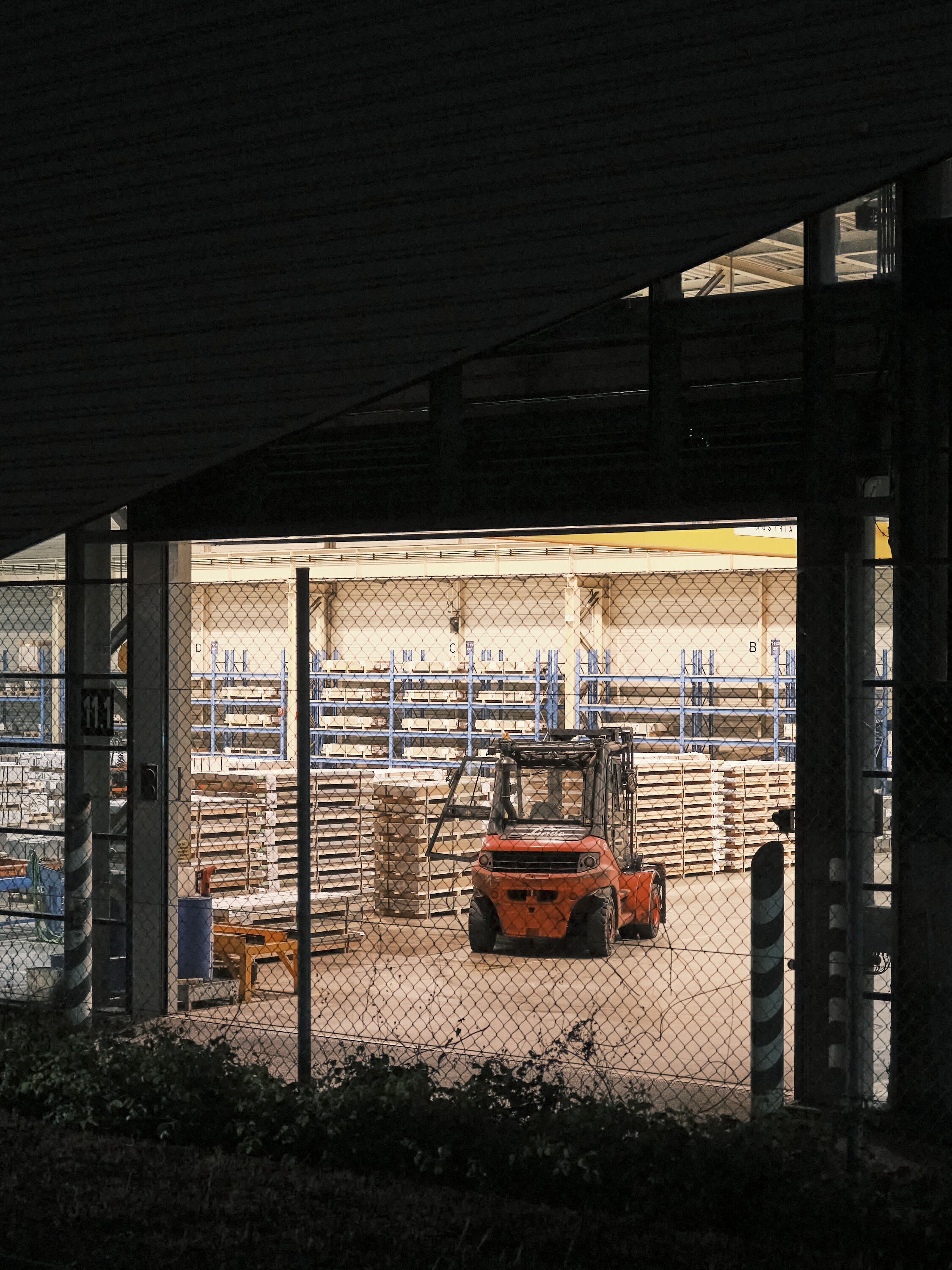 FUJIFILM GFX100 RF DSCF1585