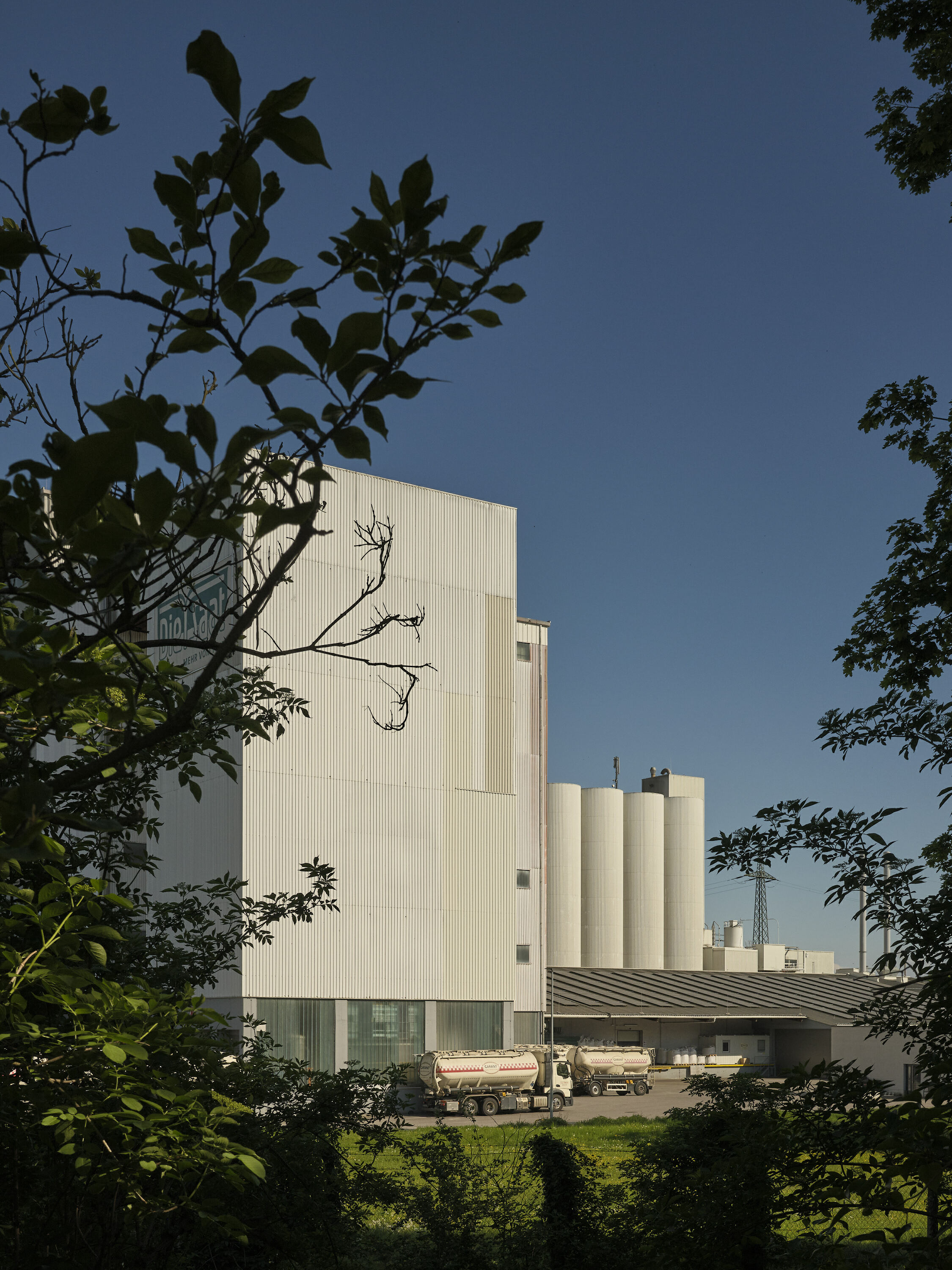 FUJIFILM GFX100 RF DSCF1638