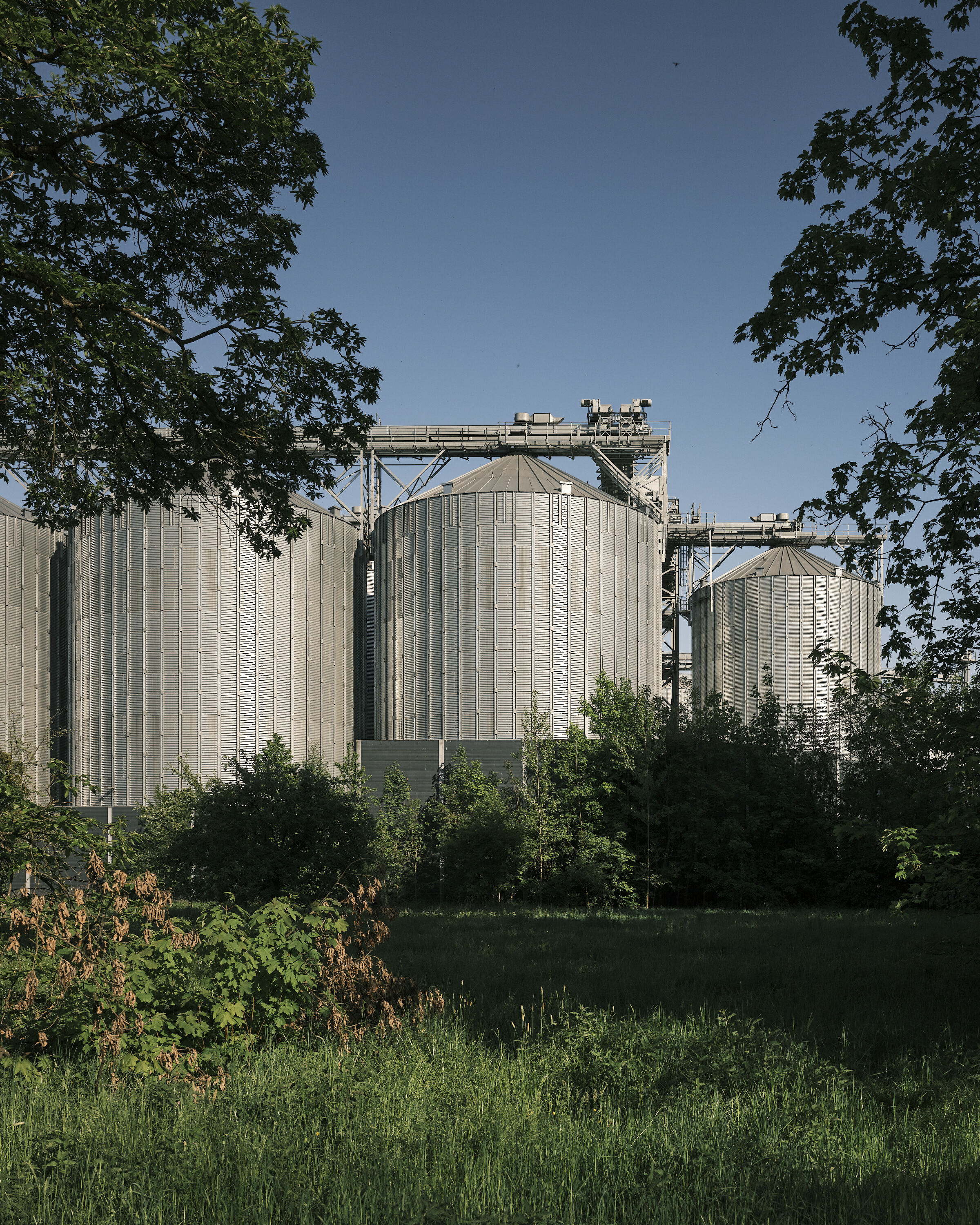 FUJIFILM GFX100 RF DSCF1663