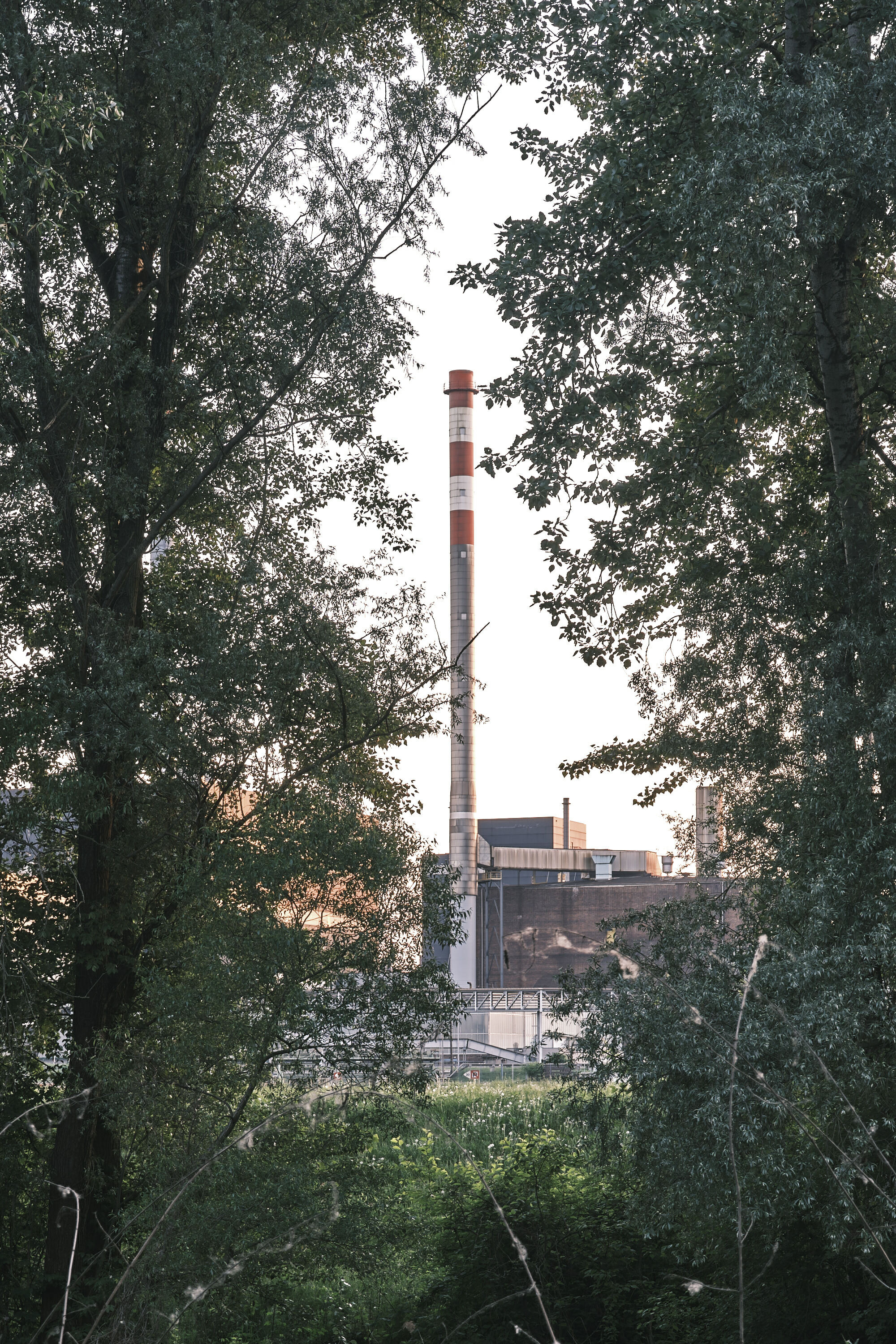 FUJIFILM GFX100 RF DSCF1674