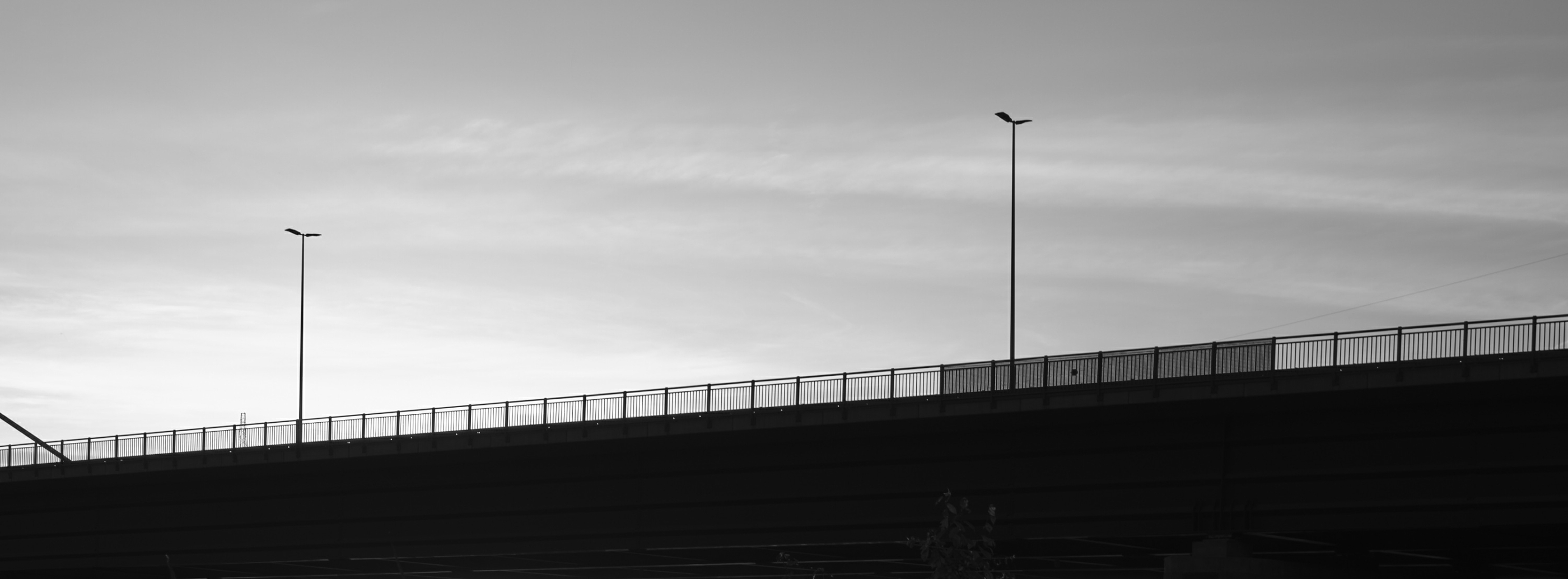 FUJIFILM GFX100 RF DSCF1675