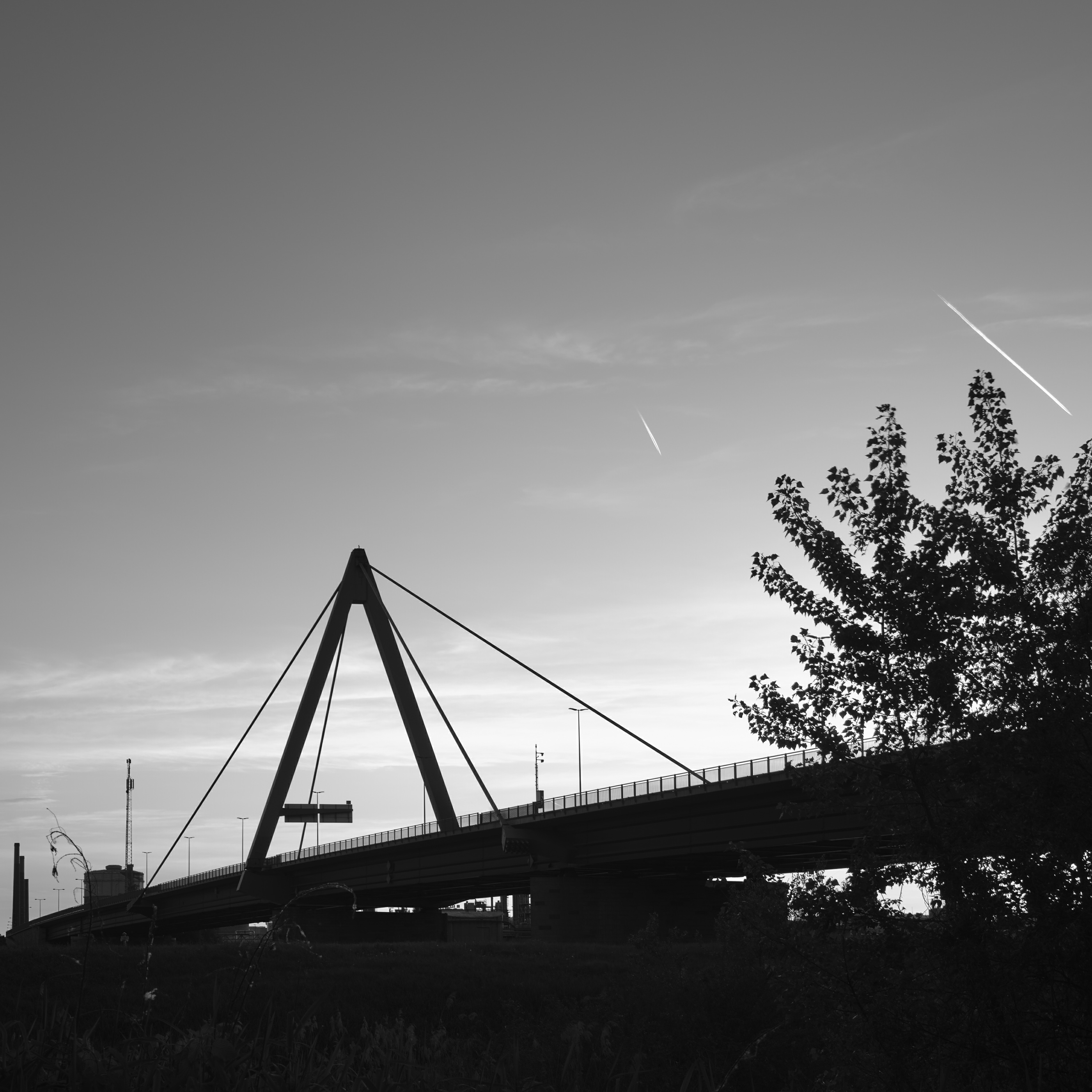 FUJIFILM GFX100 RF DSCF1677