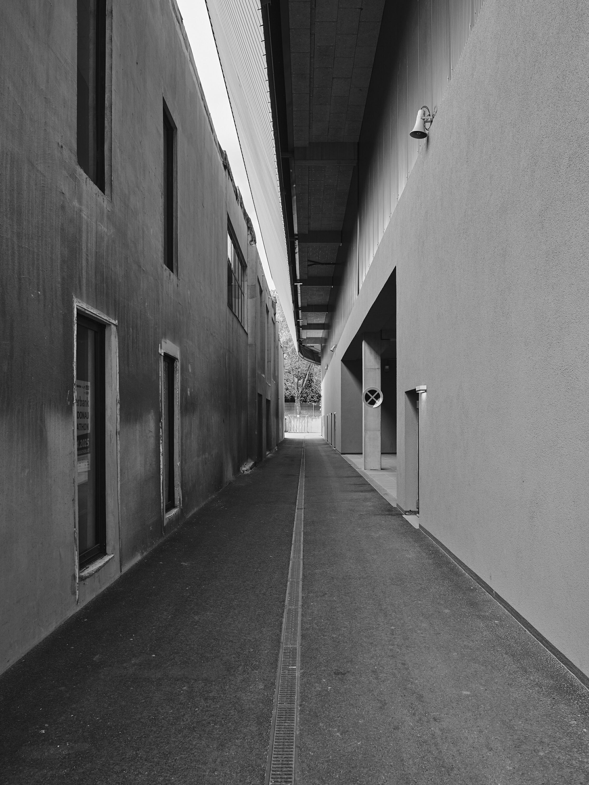 FUJIFILM GFX100 RF DSCF1739