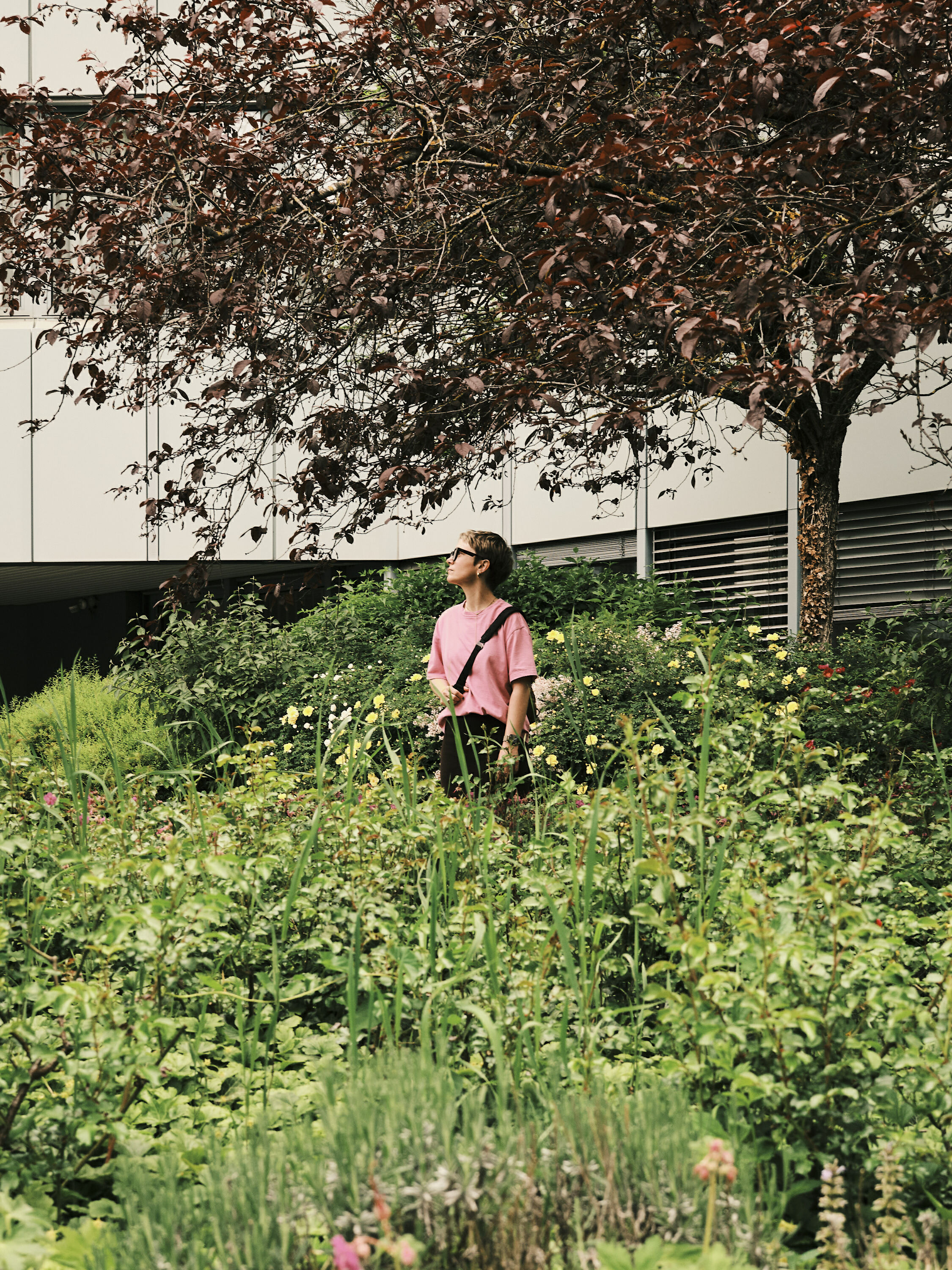 FUJIFILM GFX100 RF DSCF1751