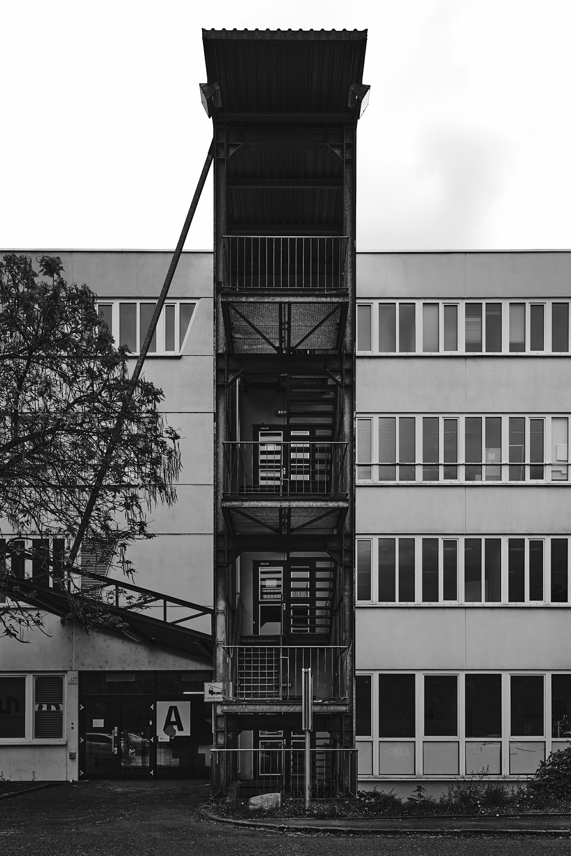 FUJIFILM GFX100 RF DSCF1769