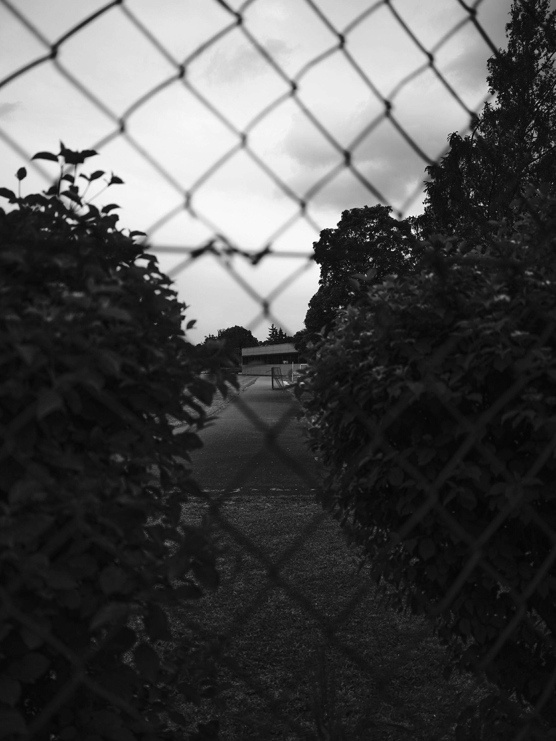 FUJIFILM GFX100 RF DSCF1772