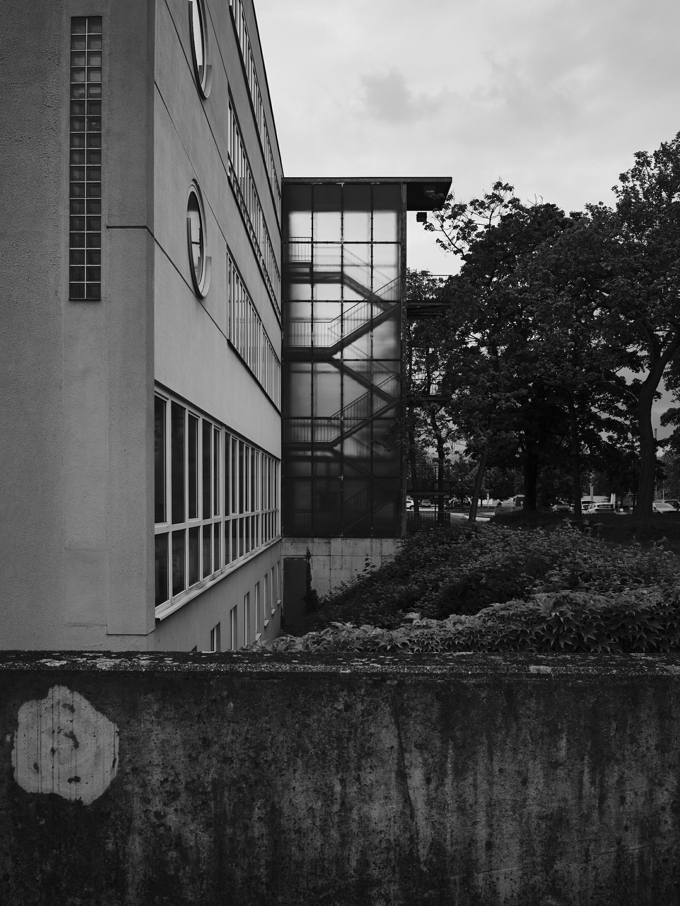 FUJIFILM GFX100 RF DSCF1774
