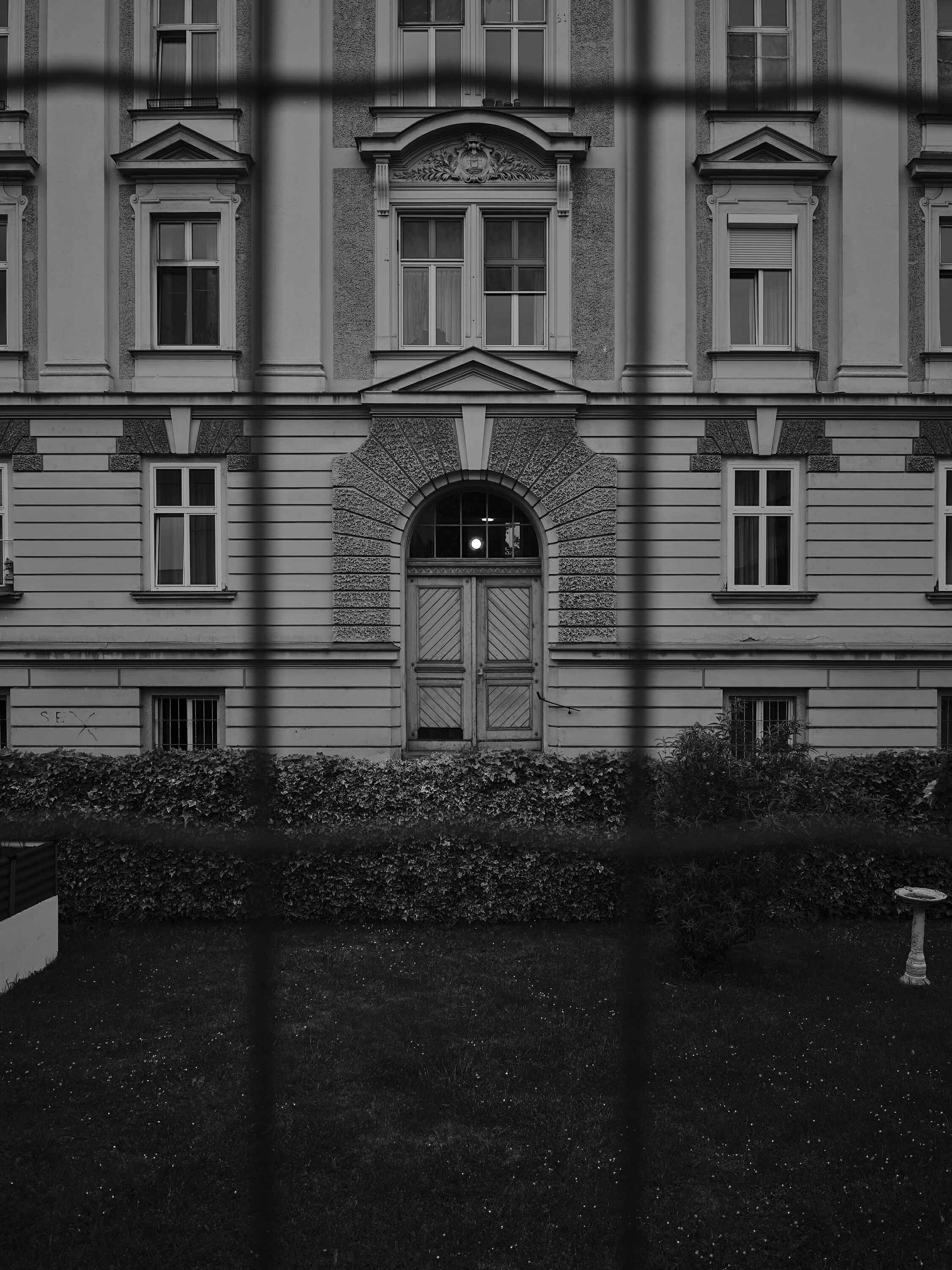 FUJIFILM GFX100 RF DSCF1784
