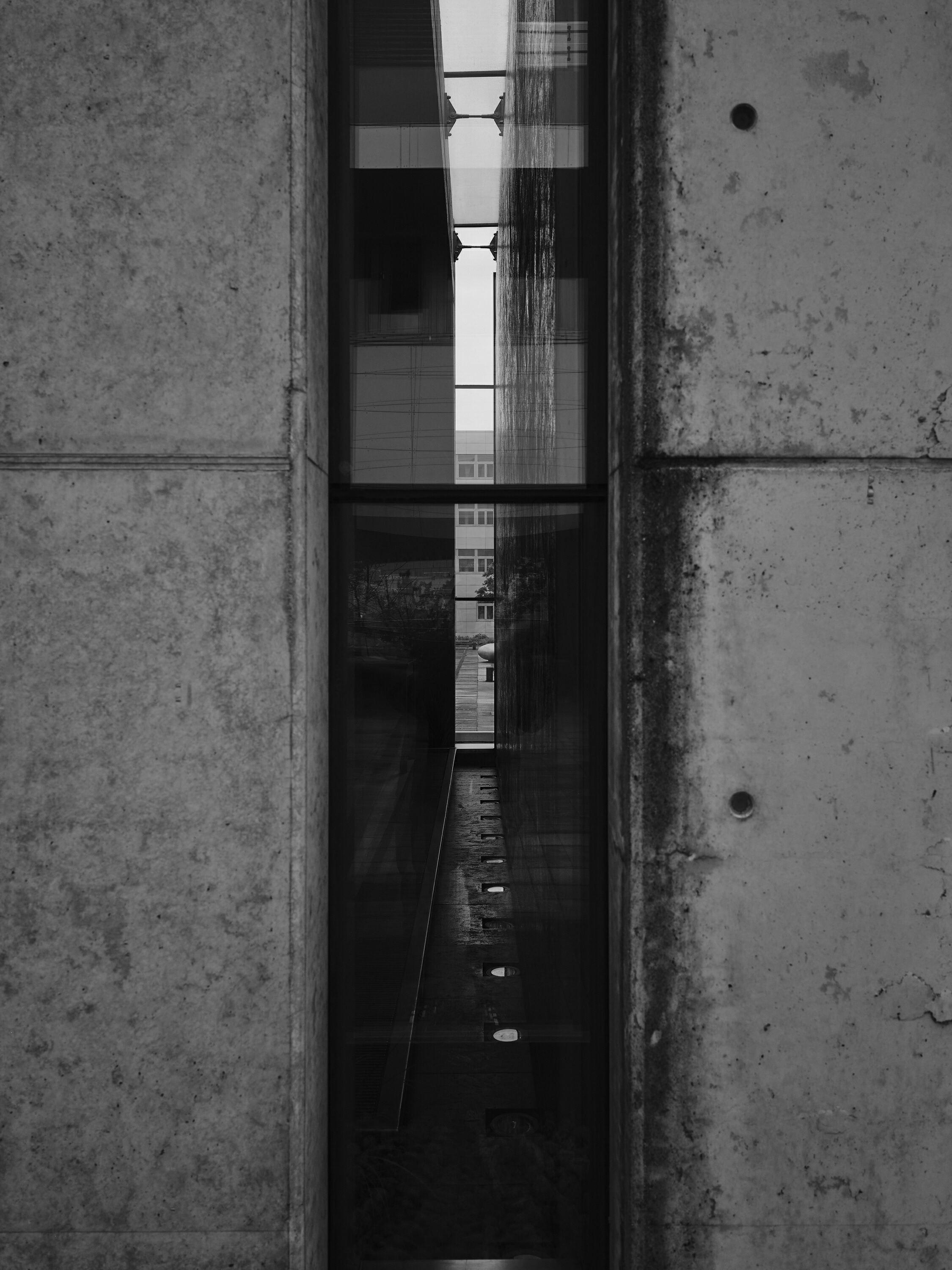 FUJIFILM GFX100 RF DSCF1808