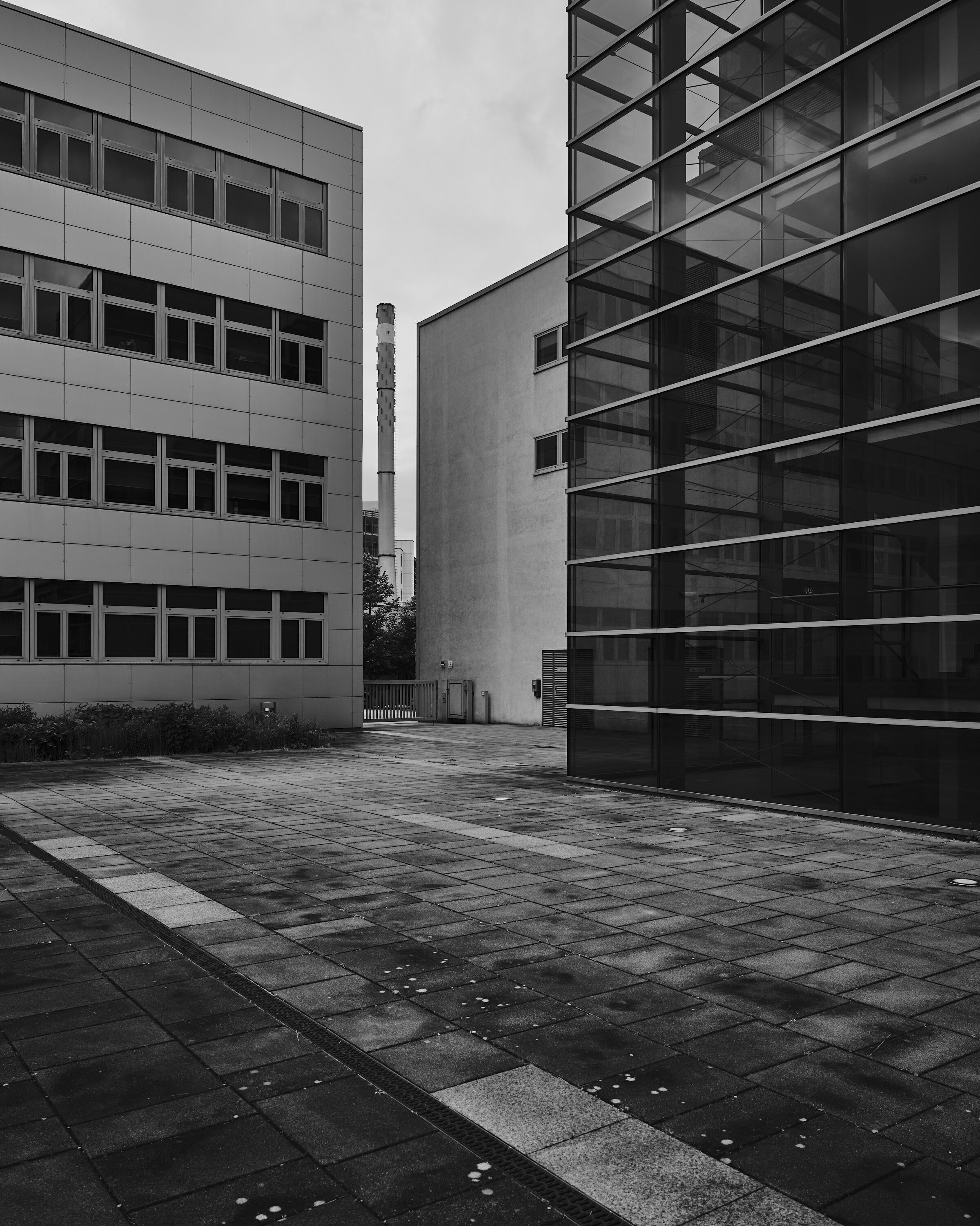 FUJIFILM GFX100 RF DSCF1814