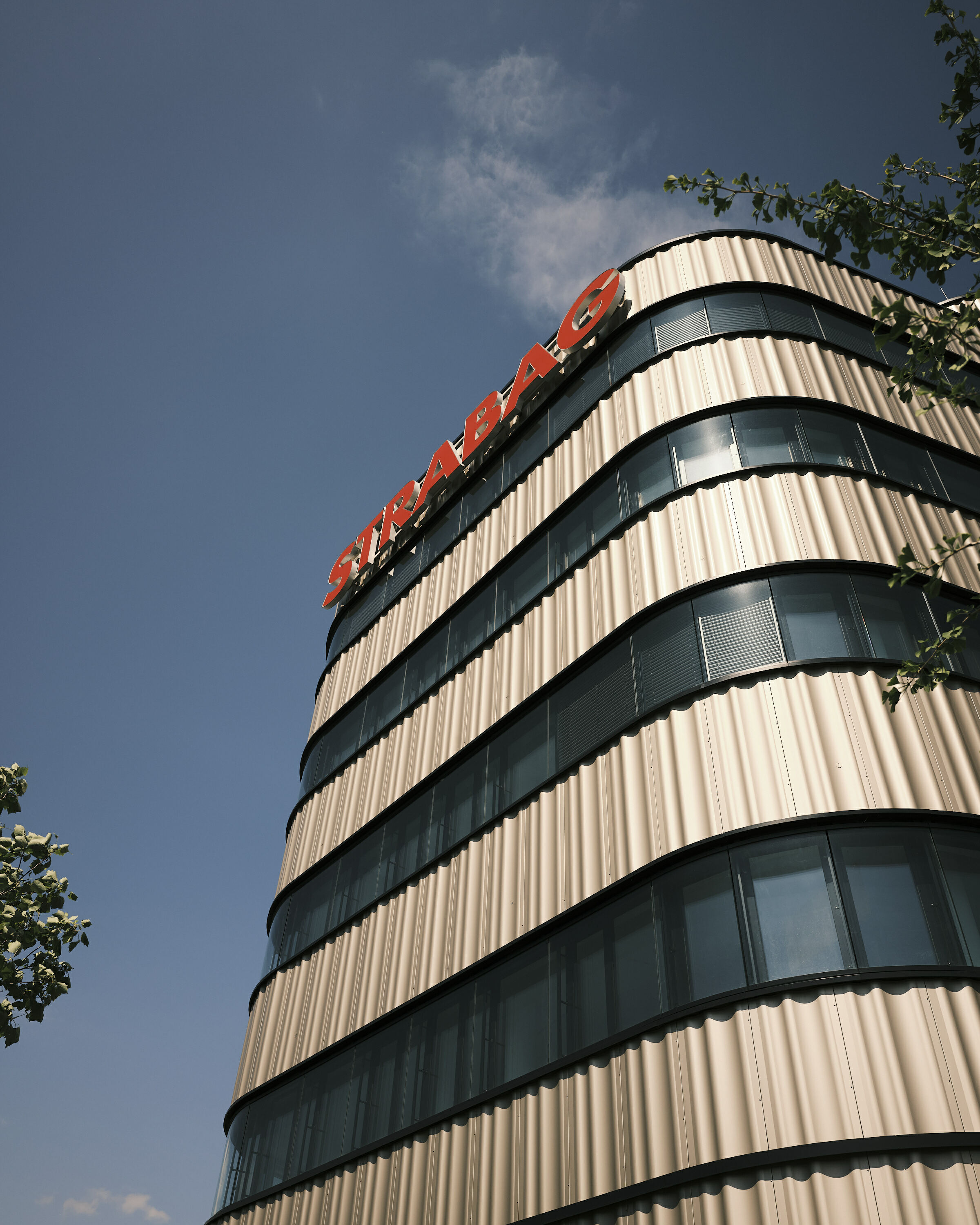 FUJIFILM GFX100 RF DSCF1867