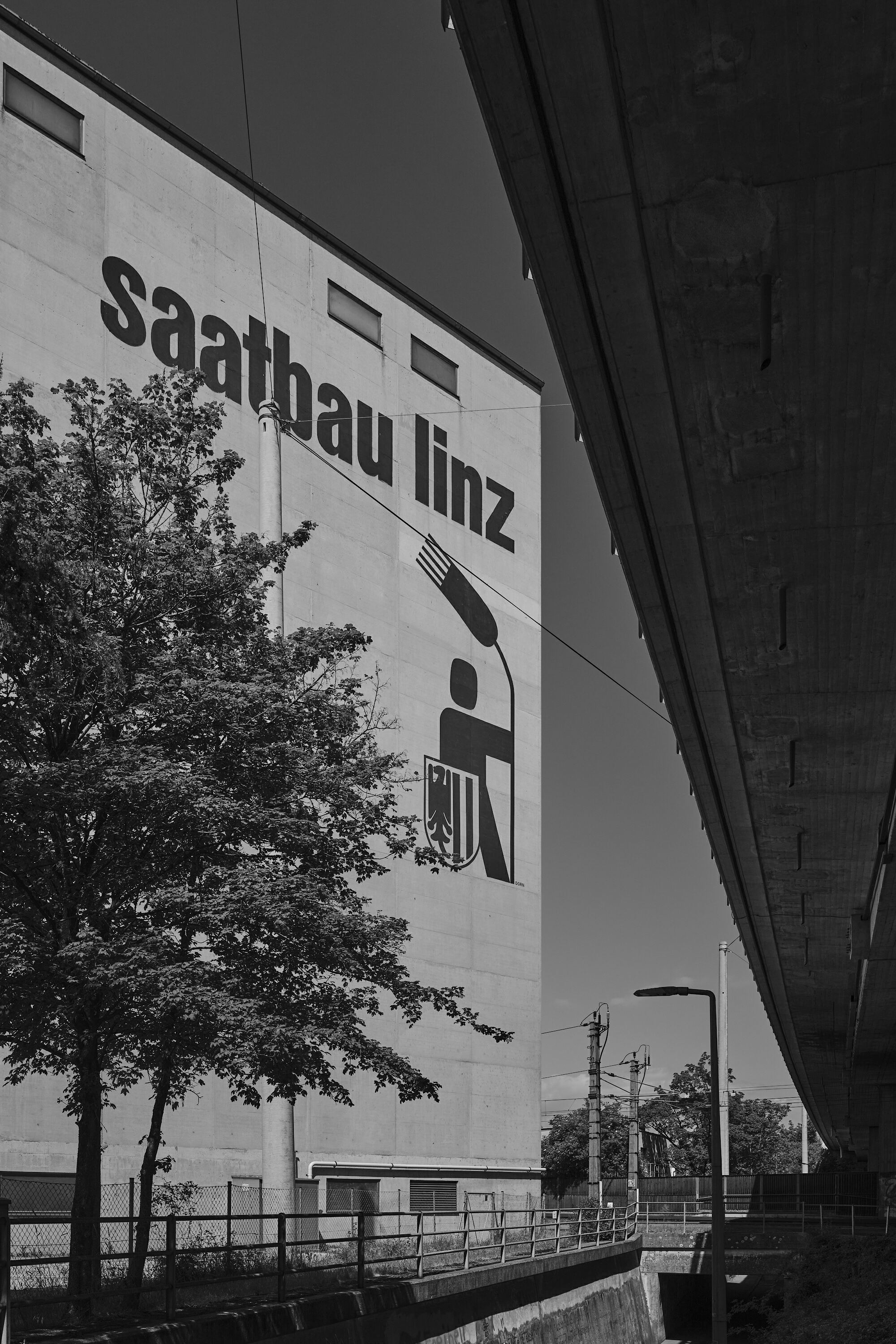 FUJIFILM GFX100 RF DSCF1875