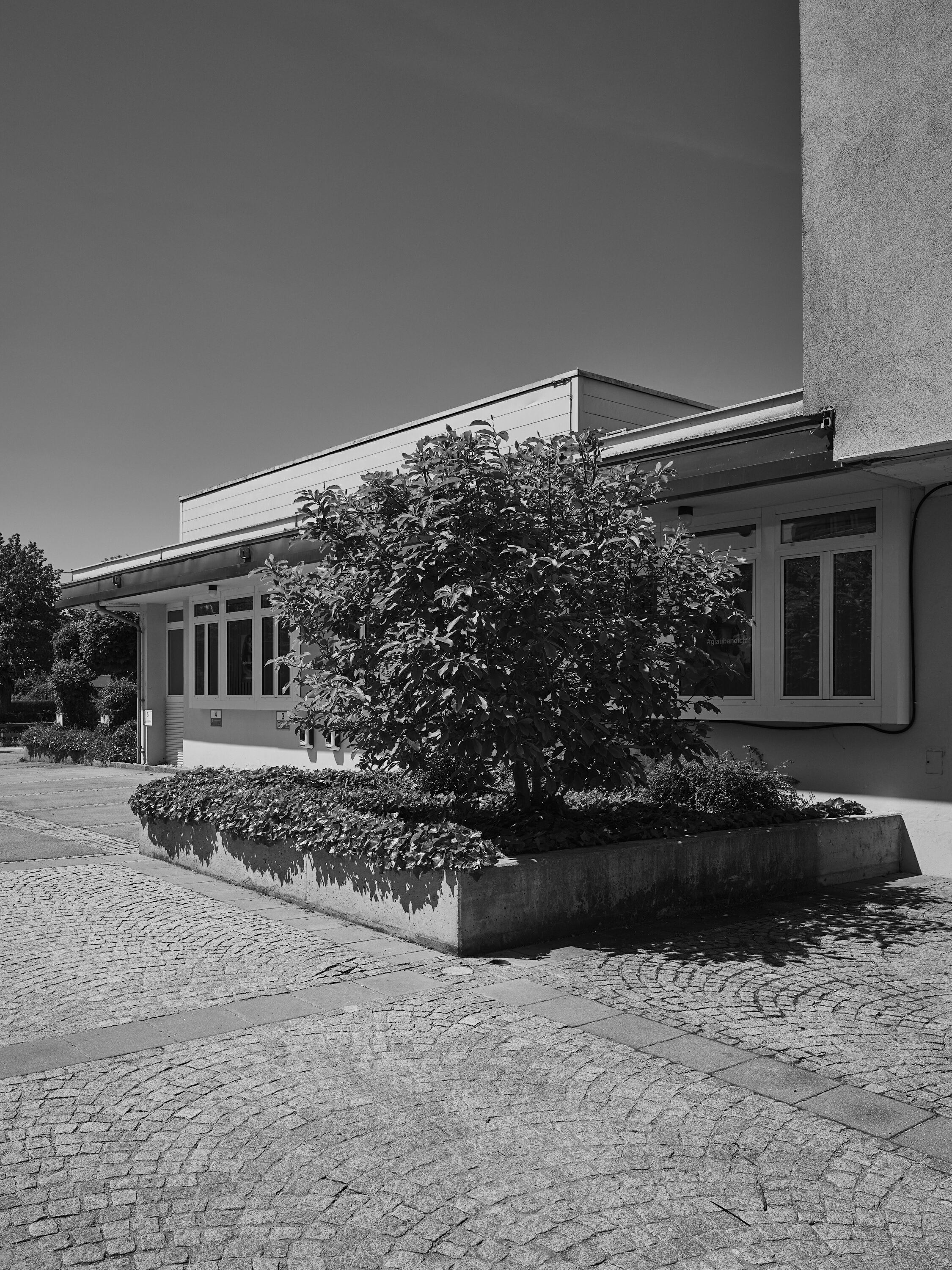 FUJIFILM GFX100 RF DSCF1881