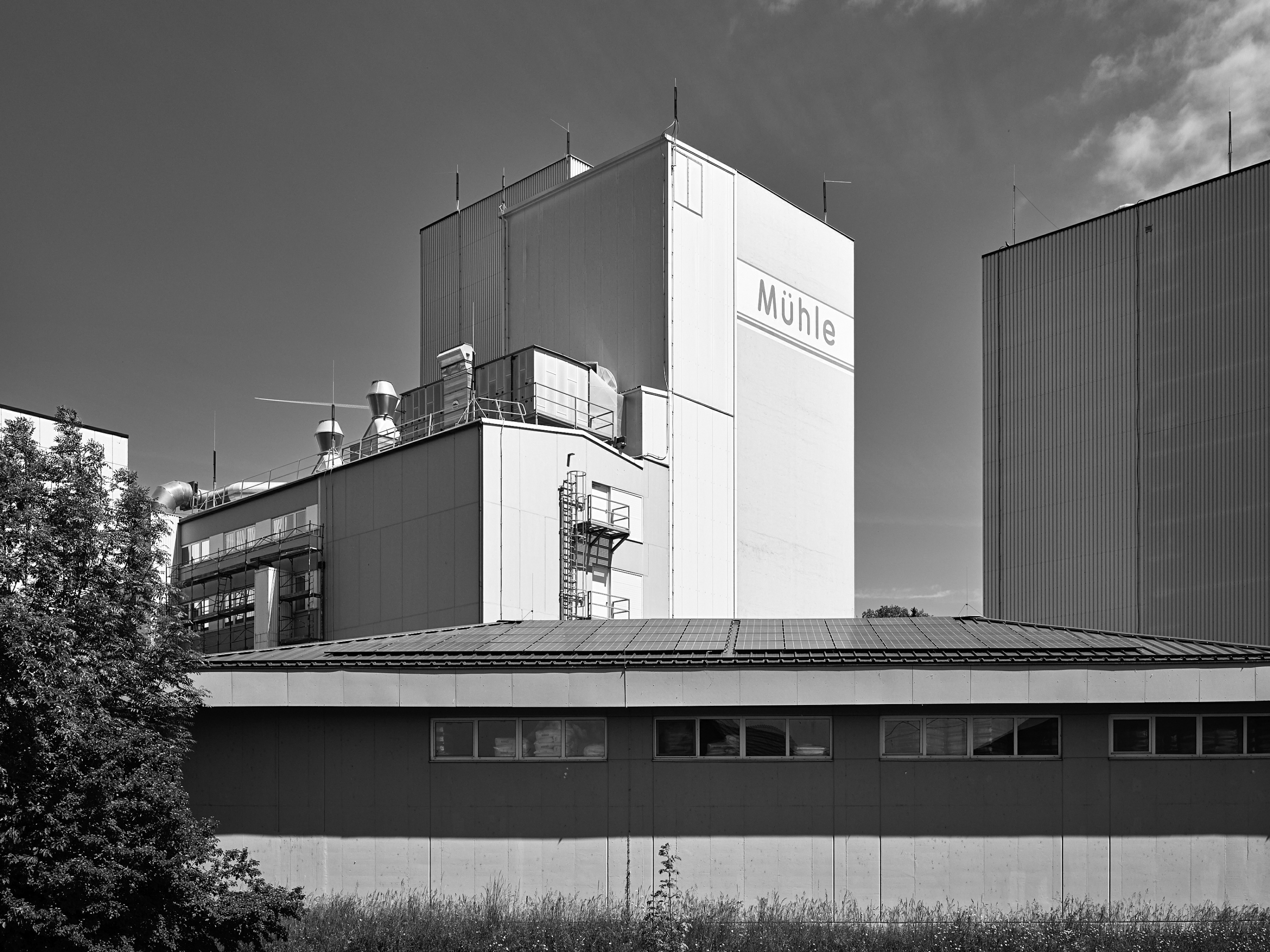 FUJIFILM GFX100 RF DSCF1900