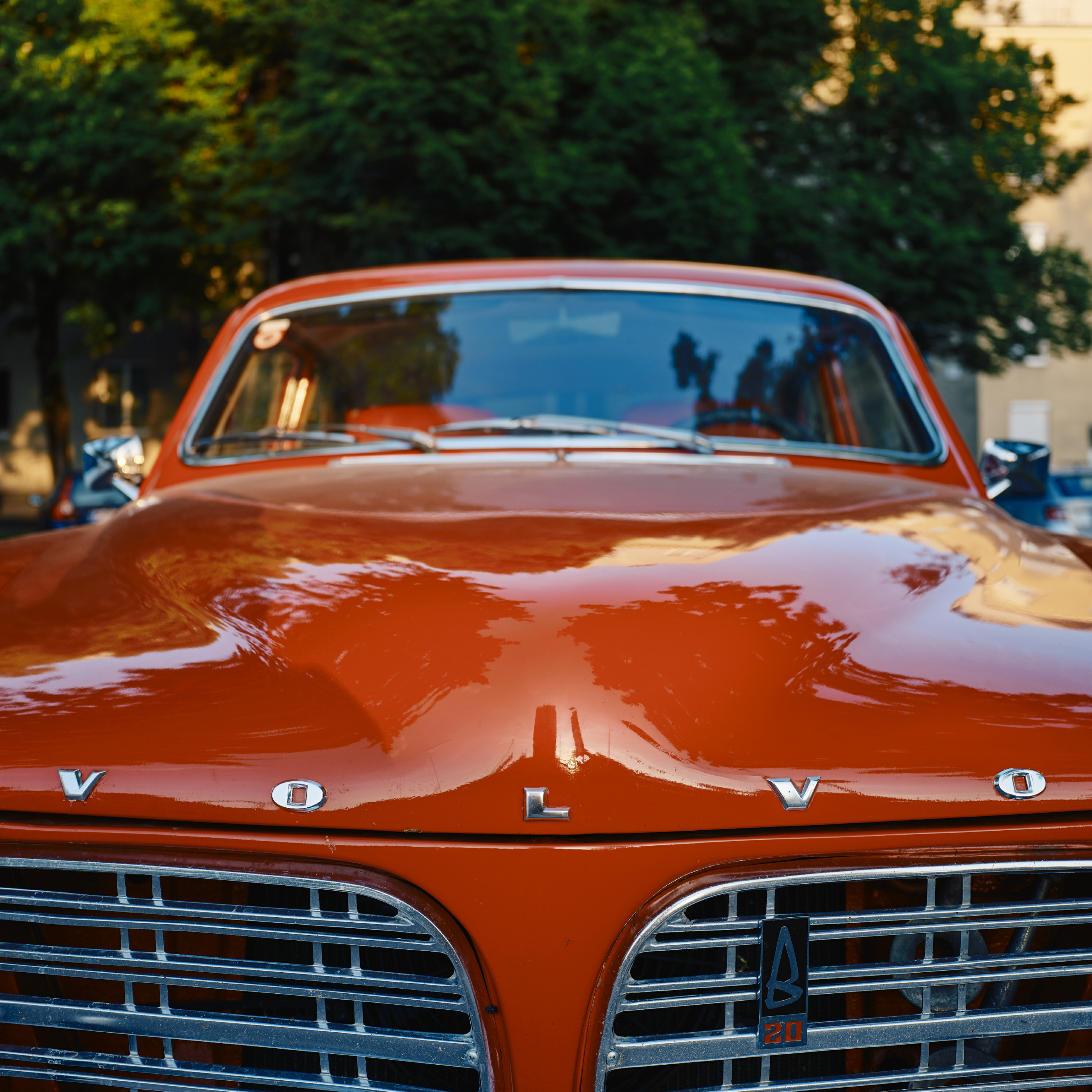 FUJIFILM GFX100 RF DSCF1933