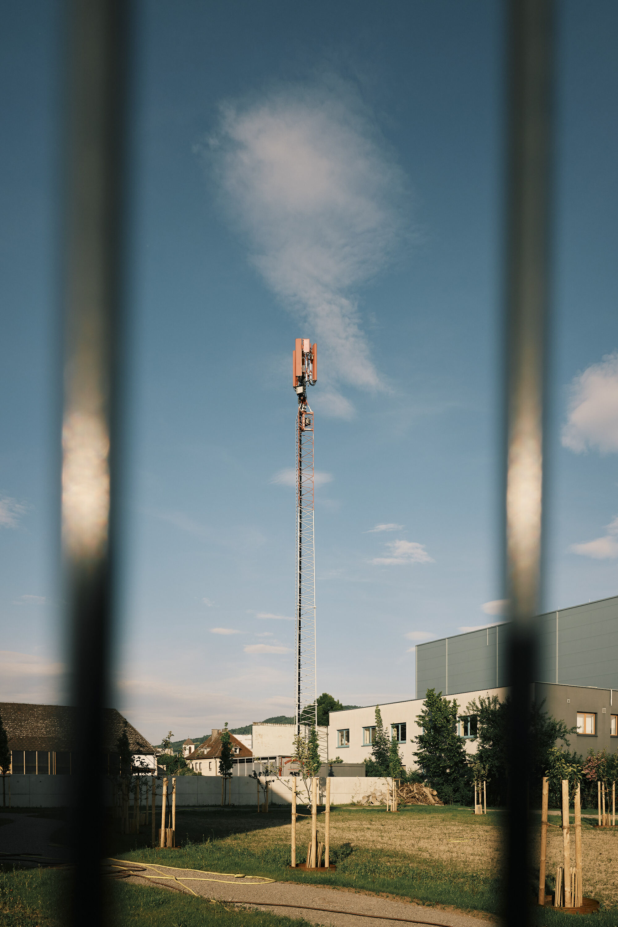 FUJIFILM GFX100 RF DSCF1952