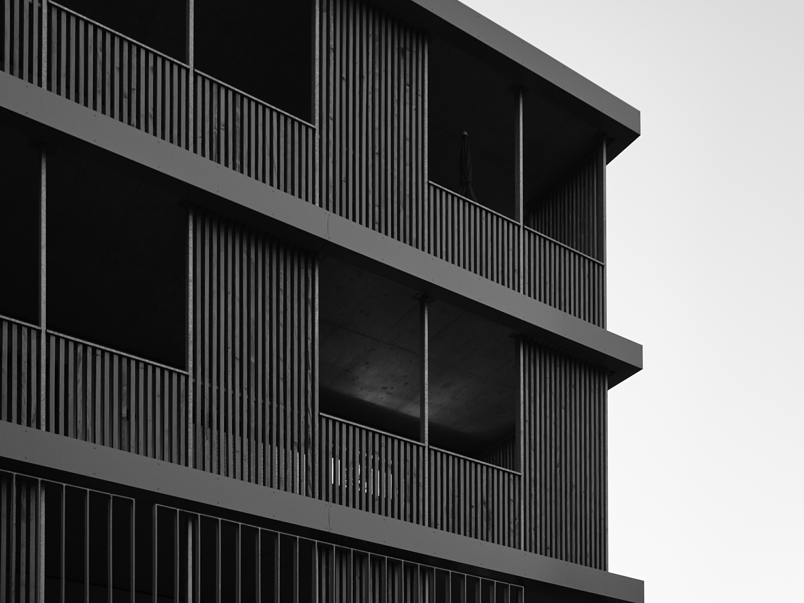 Leica Camera AG LEICA M11 P L1000022