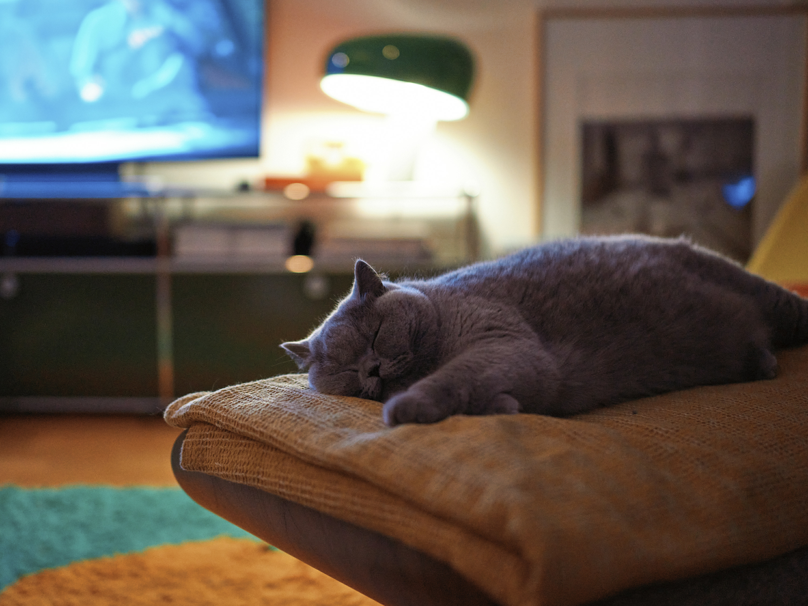 Leica Camera AG LEICA M11 P L1000027