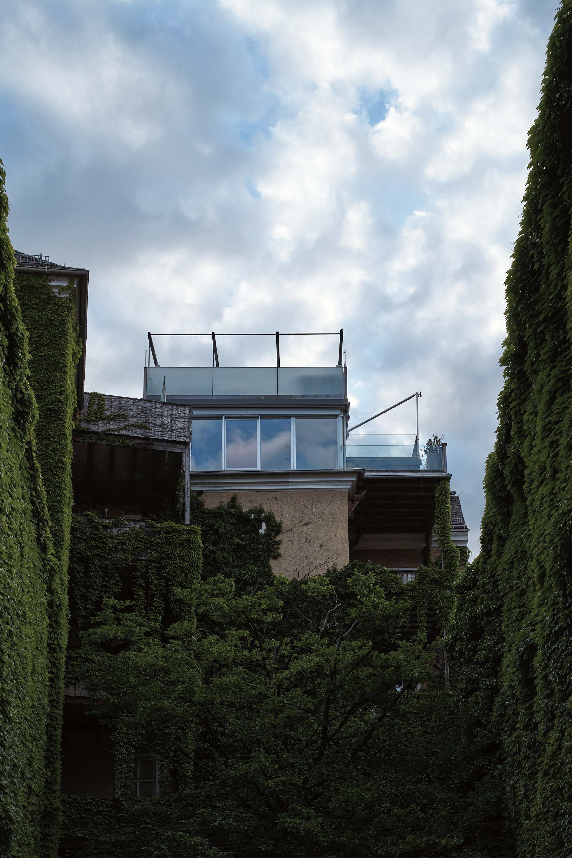 Leica Camera AG LEICA M11 P L1000185