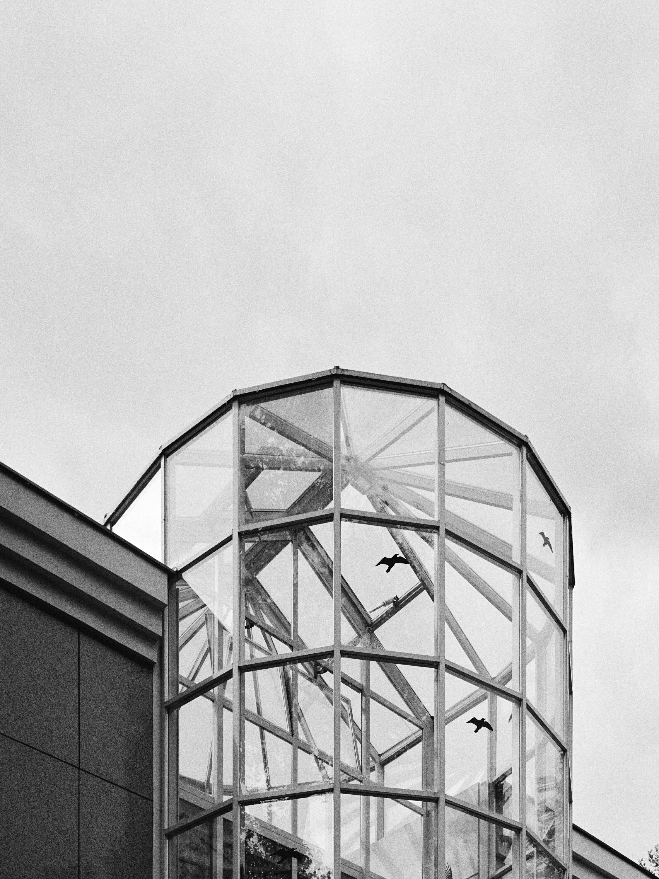 Leica Camera AG LEICA M11 P L1000198