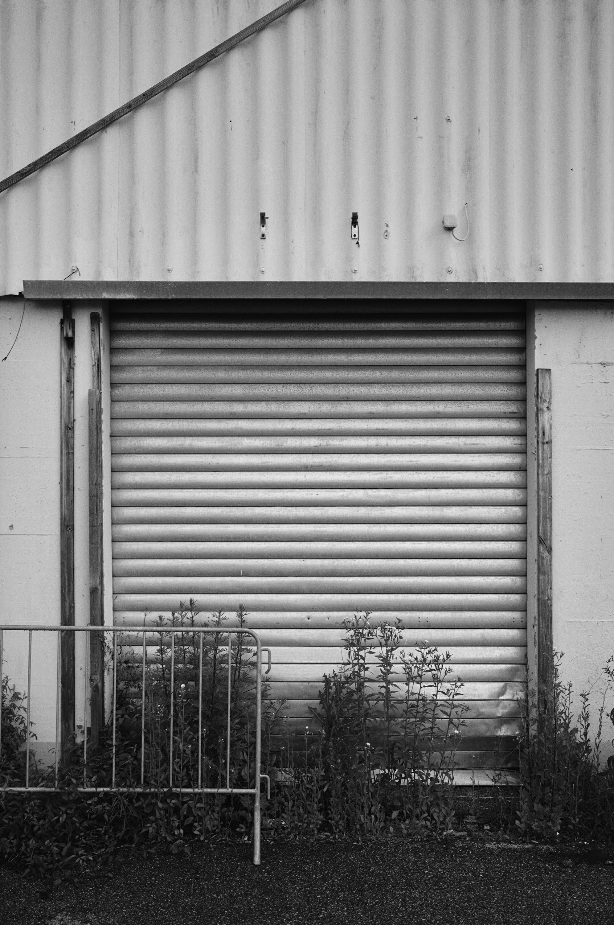 Leica Camera AG LEICA M11 P L1000256