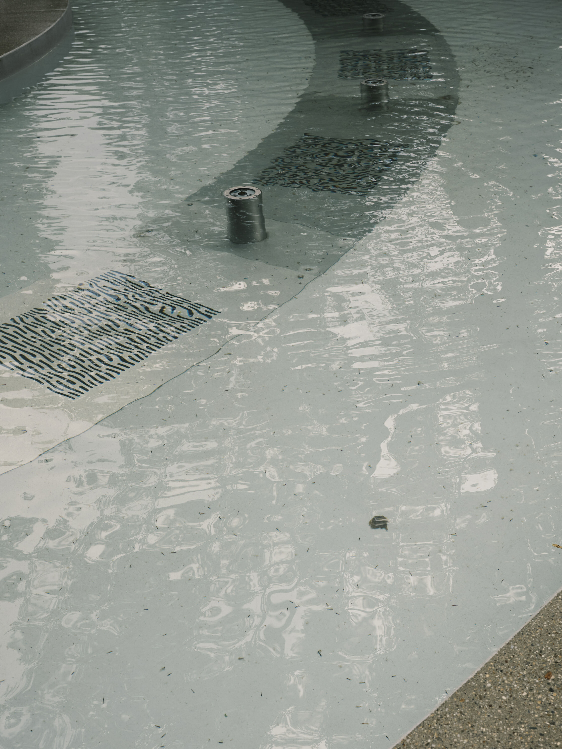 FUJIFILM GFX100 RF DSCF1990