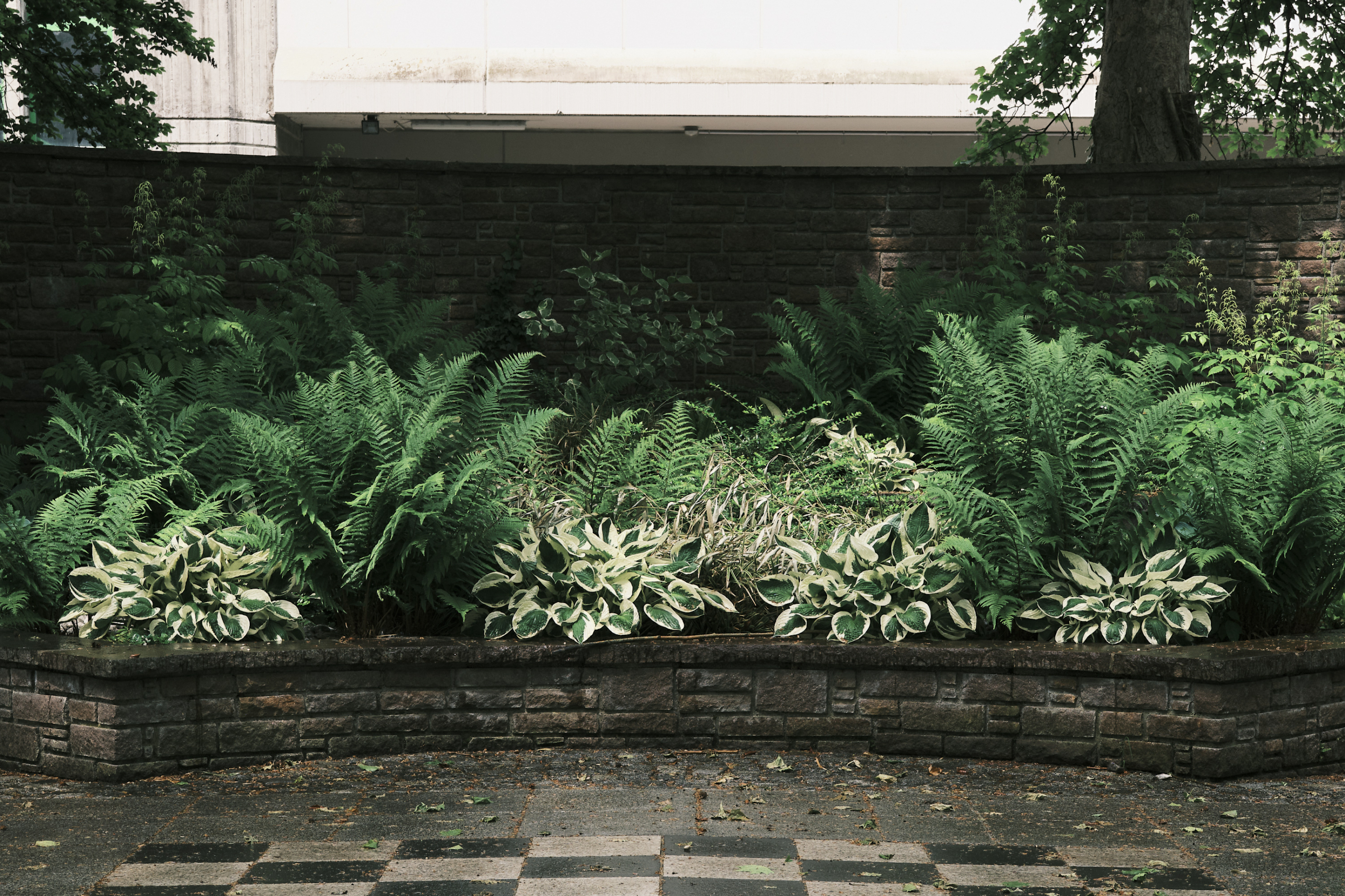 FUJIFILM GFX100 RF DSCF1991